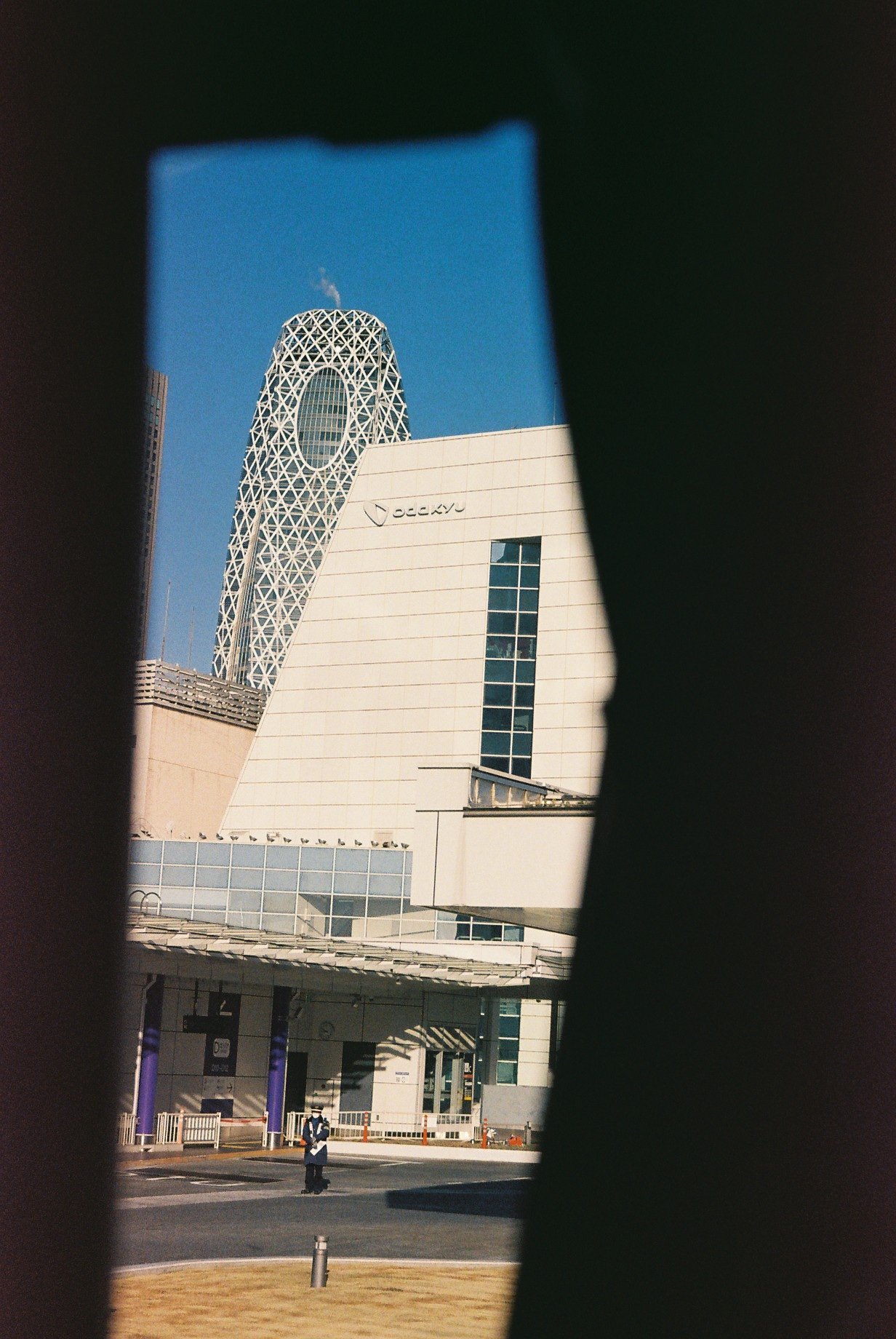 Film photography by Motomi Mizoguchi