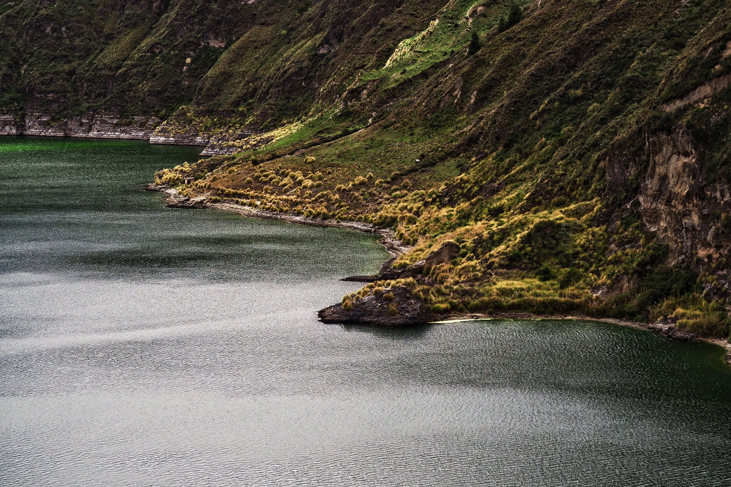 P2131544.jpg
