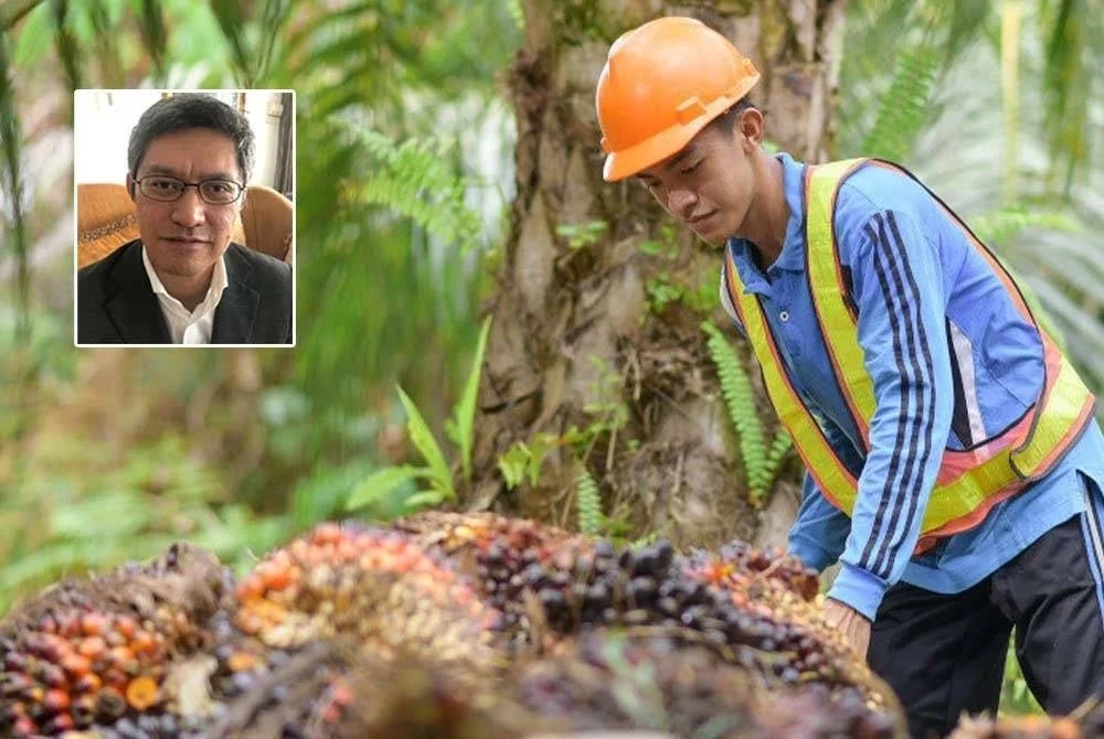 Henti jual barang berlabel 'tanpa minyak sawit' - API