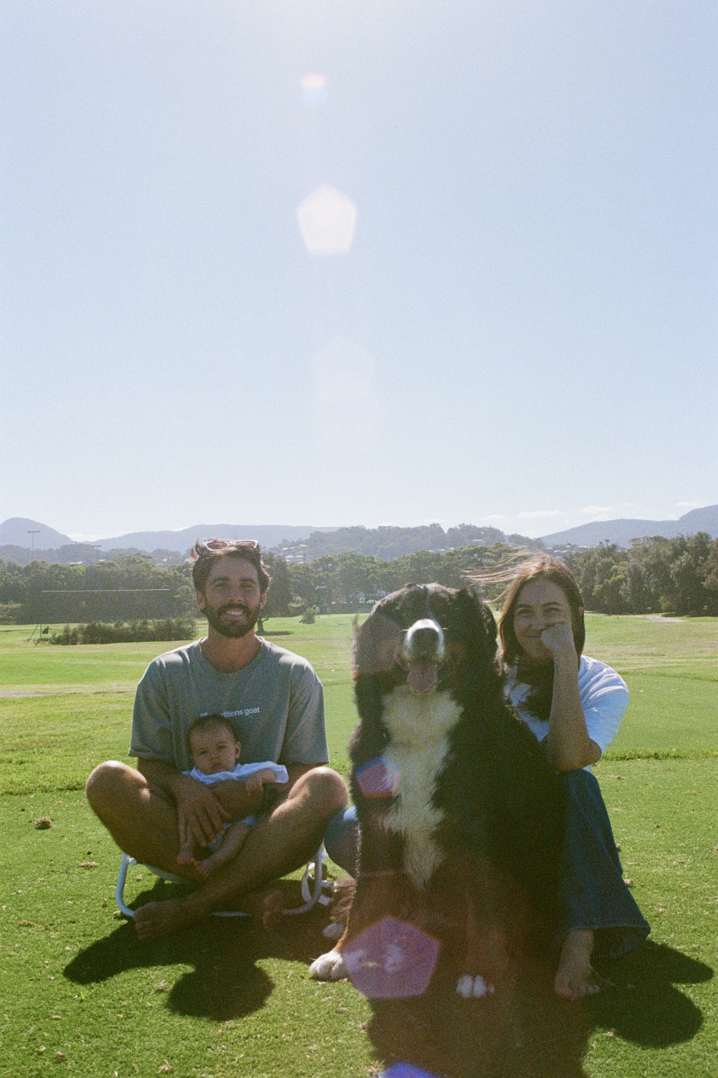 A group of people and a dog outdoors on a sunny day in a park with green grass and trees, with hills in the background. They appear to be enjoying a casual gathering.