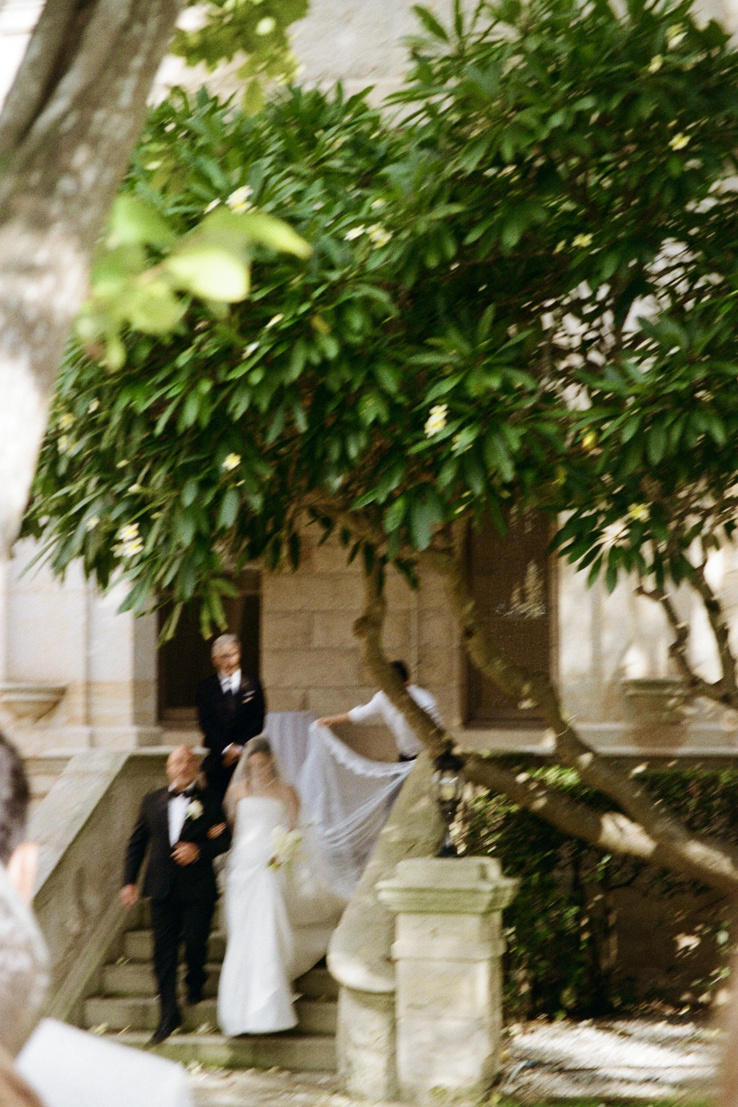 A wedding scene on outdoor stone staircase, with a bride in white dress and groom in black suit, accompanied by two men in suits, beneath a large leafy tree in a courtyard or garden setting.