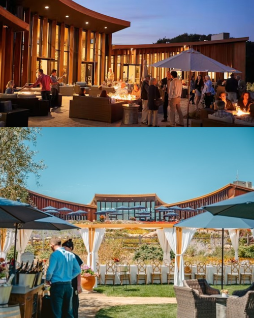 Bouchaine Vineyards