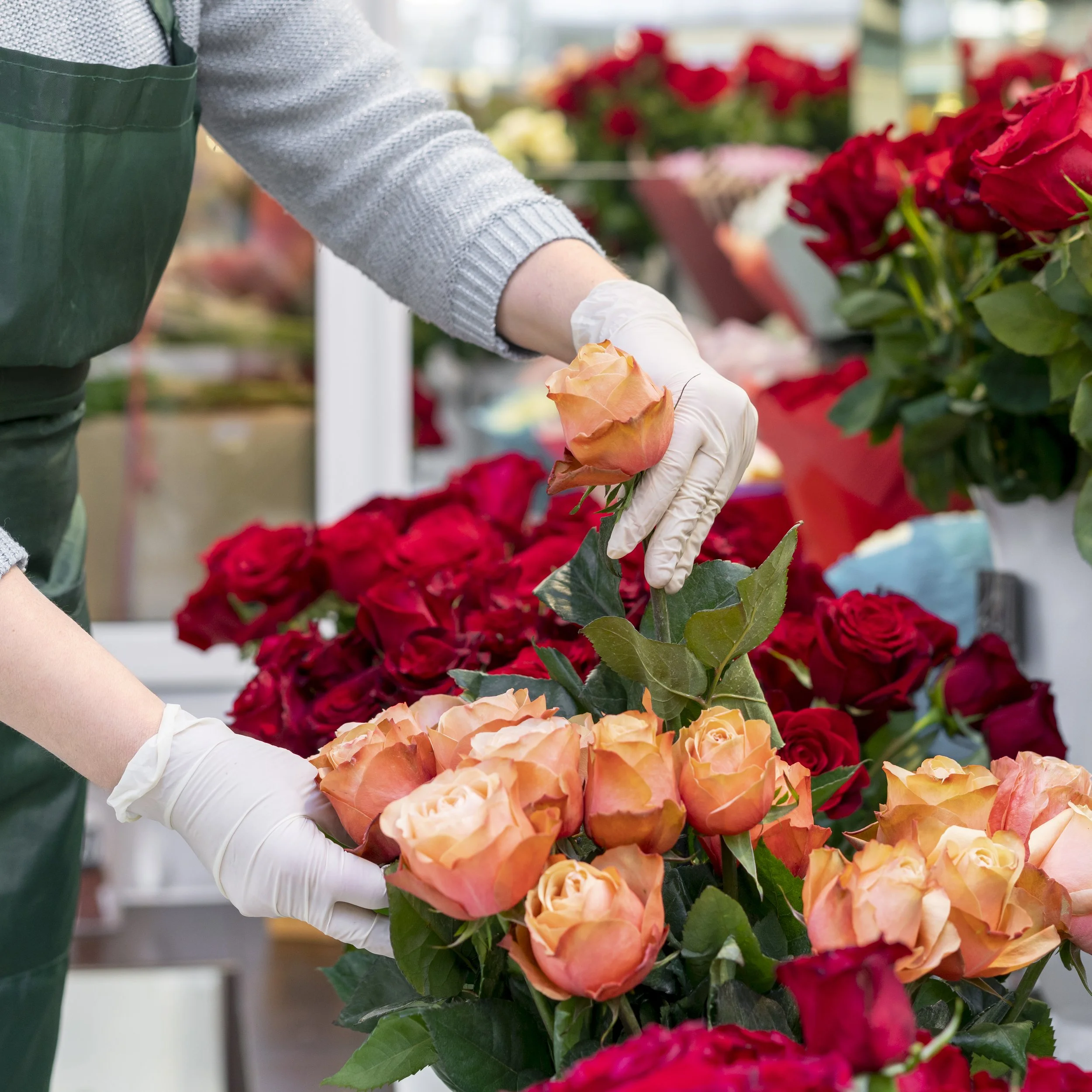 Person wearing a green apron and white gloves arranging peach-colored roses in a flower shop with other red and pink roses in the background.