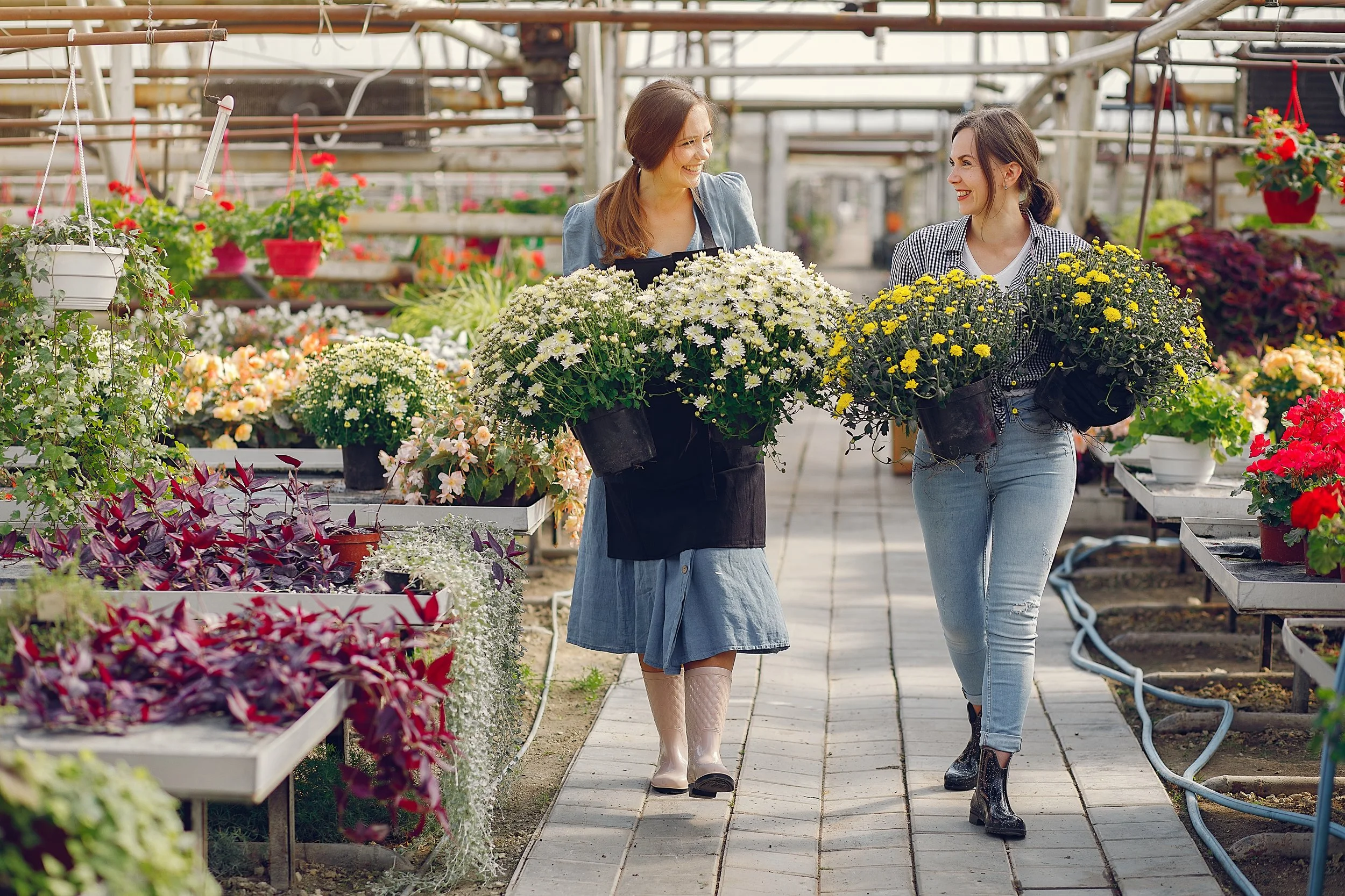 Two women shopping for flowers in a greenhouse, smiling and carrying potted flowers.