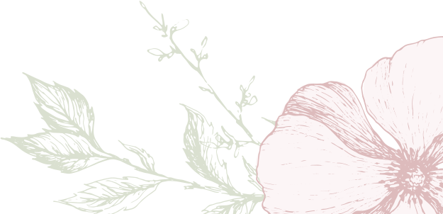Light pink flower with green leaves and branches on a black background.