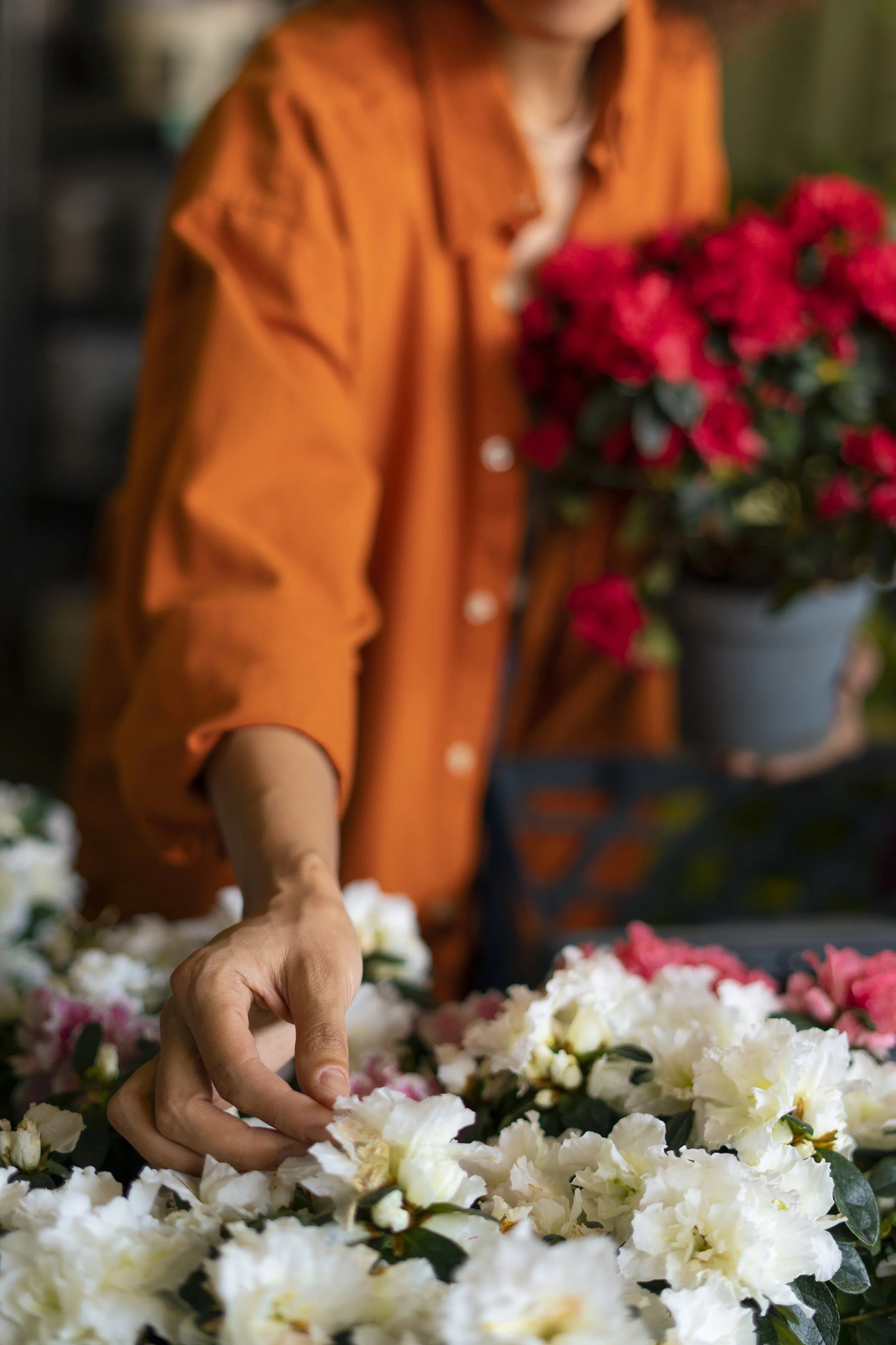 Person wearing an orange shirt selecting white flowers at a market or flower shop.