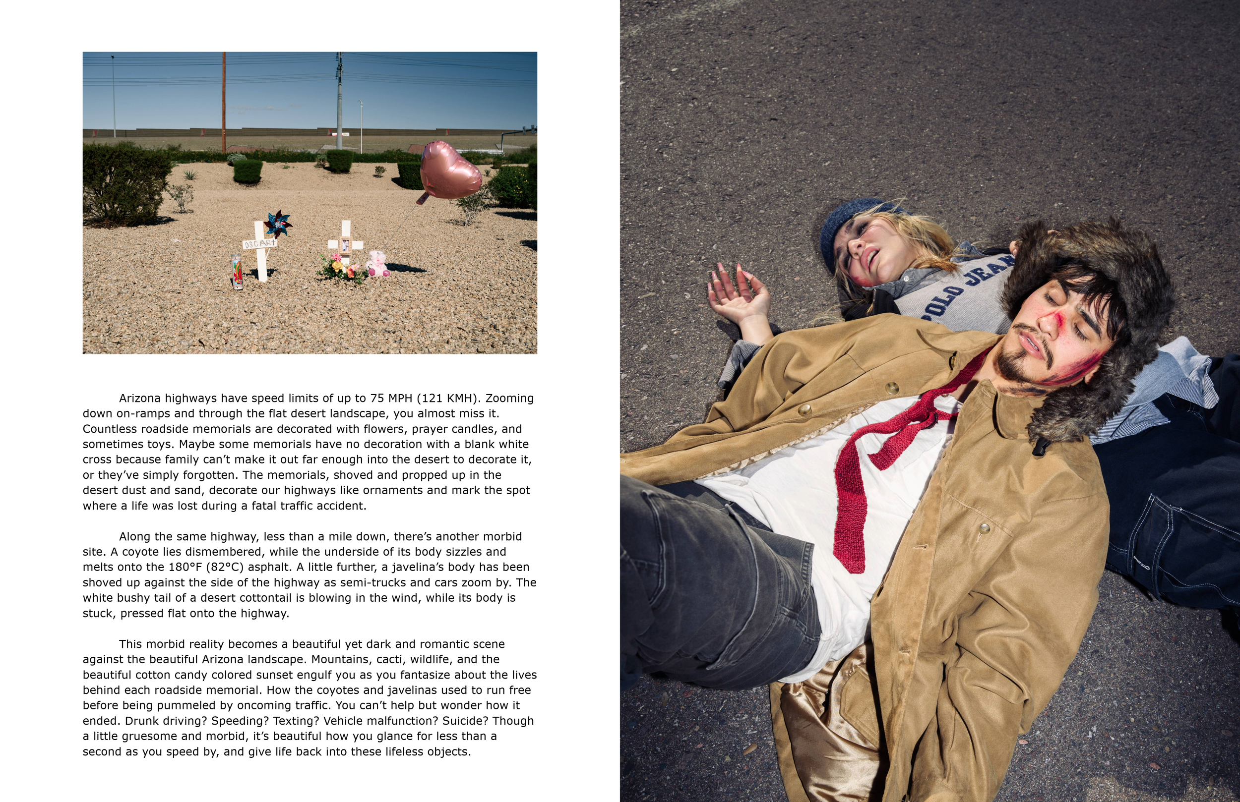 Roadkill Editorial (NEW DRAFT)-2 (1).png