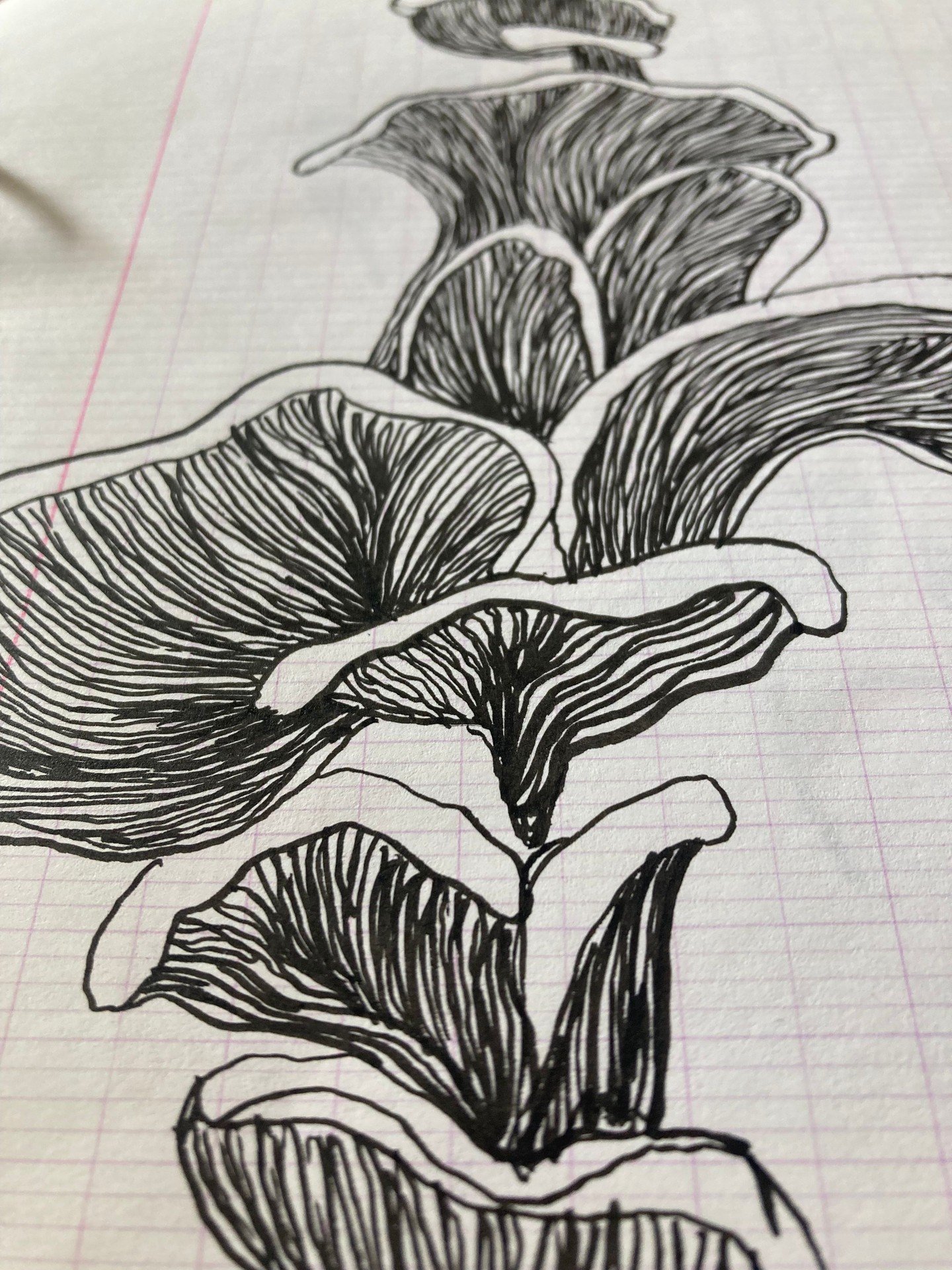 Mercreday 💛 Drawing 🌞 Tufting
