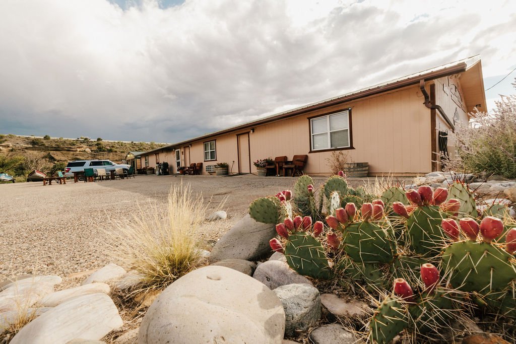A single-story house with a pink exterior, multiple windows, and a sloped roof in a desert landscape. The yard features cacti with red fruit and various desert plants, with a gravel driveway and parked vehicles nearby. Overcast sky with dark clouds overhead.