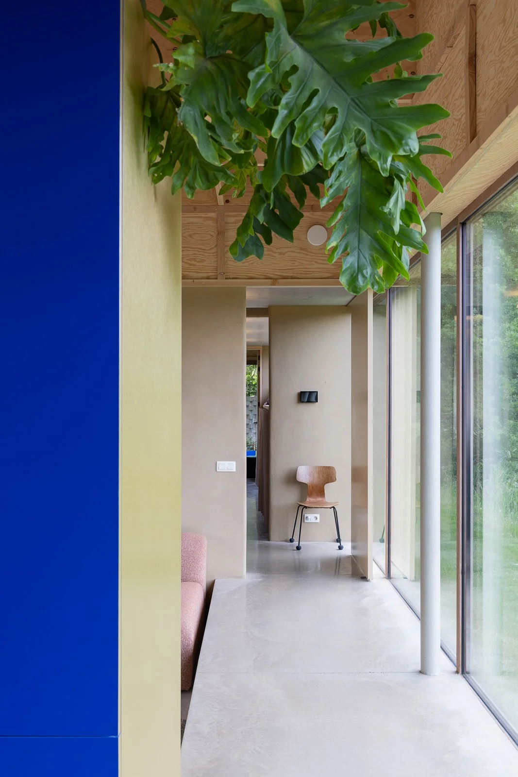 Interior view of a modern house with a large green plant hanging from the ceiling, beige walls, wooden ceiling panels, a glass wall letting in natural light, and a single wooden chair along the hallway.