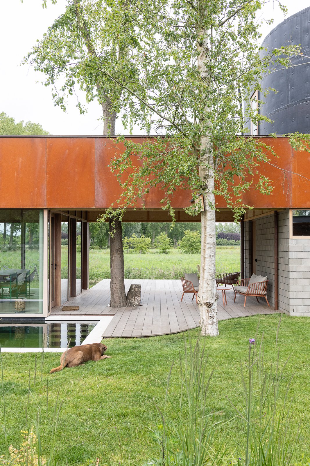 Modern house with large glass windows, wooden deck, and outdoor seating area in a grassy yard with trees and a dog lying on the grass.