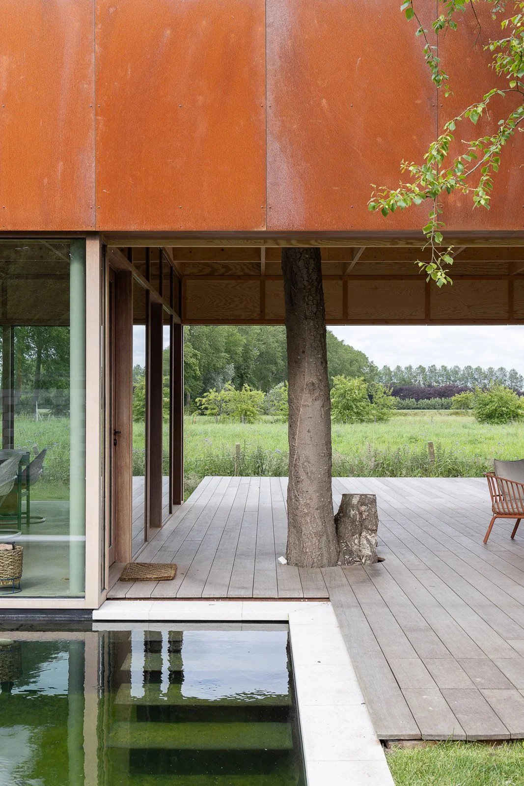 Modern house with a tree growing through a cutout in the wooden deck, large glass windows, rust-colored exterior panel, surrounding green landscape with fields and trees.