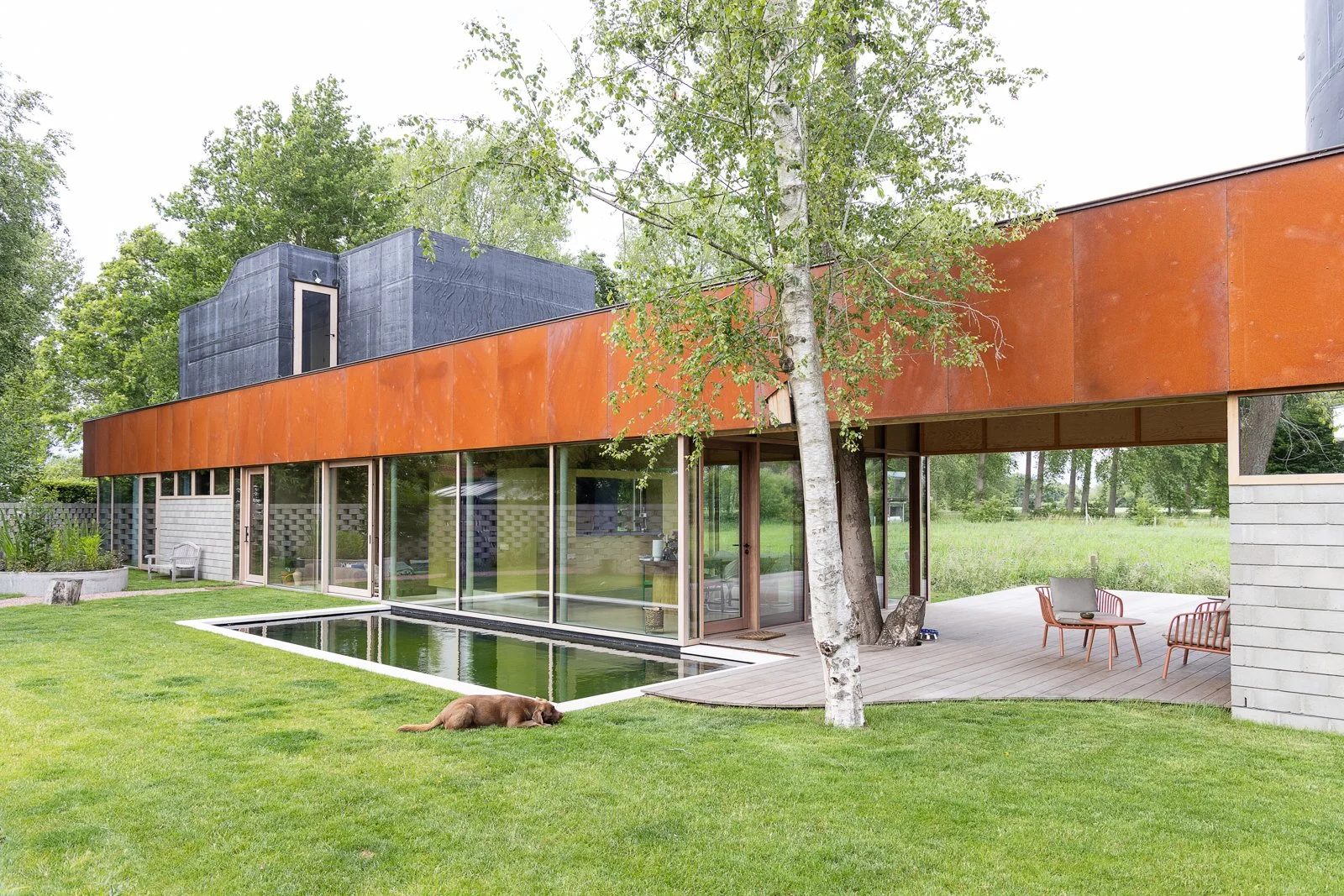 Modern house with large glass windows, a small pool, and outdoor seating, surrounded by a grassy yard and tall trees.