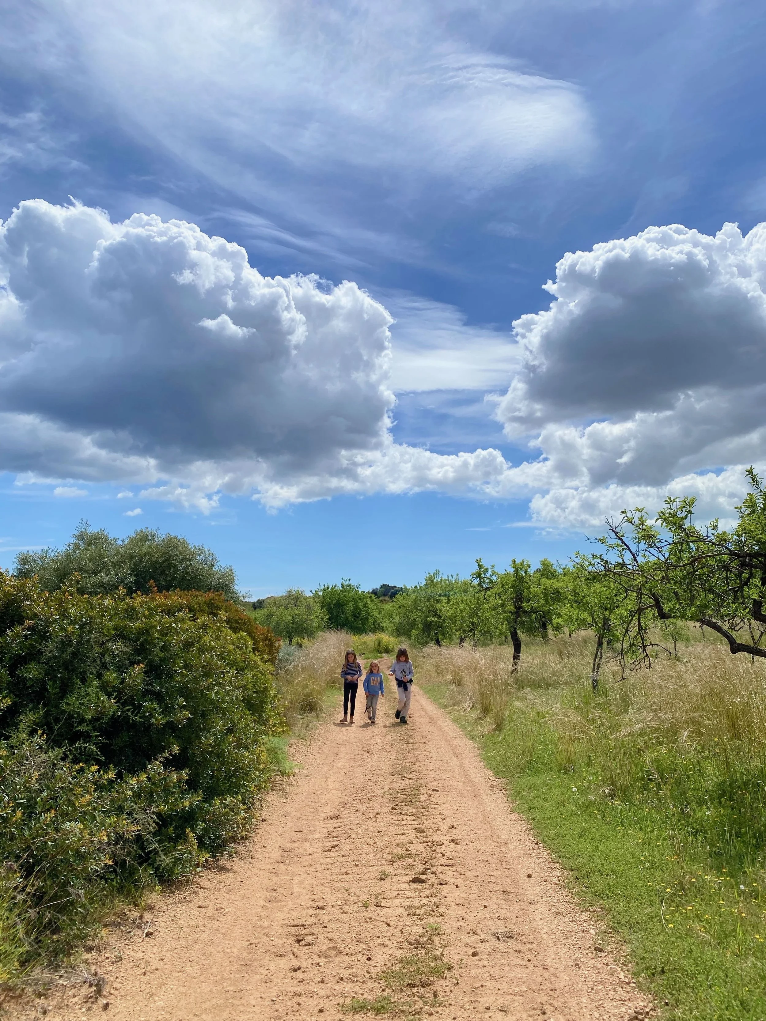 Three children walking down a dirt trail surrounded by greenery and trees under a partly cloudy blue sky.