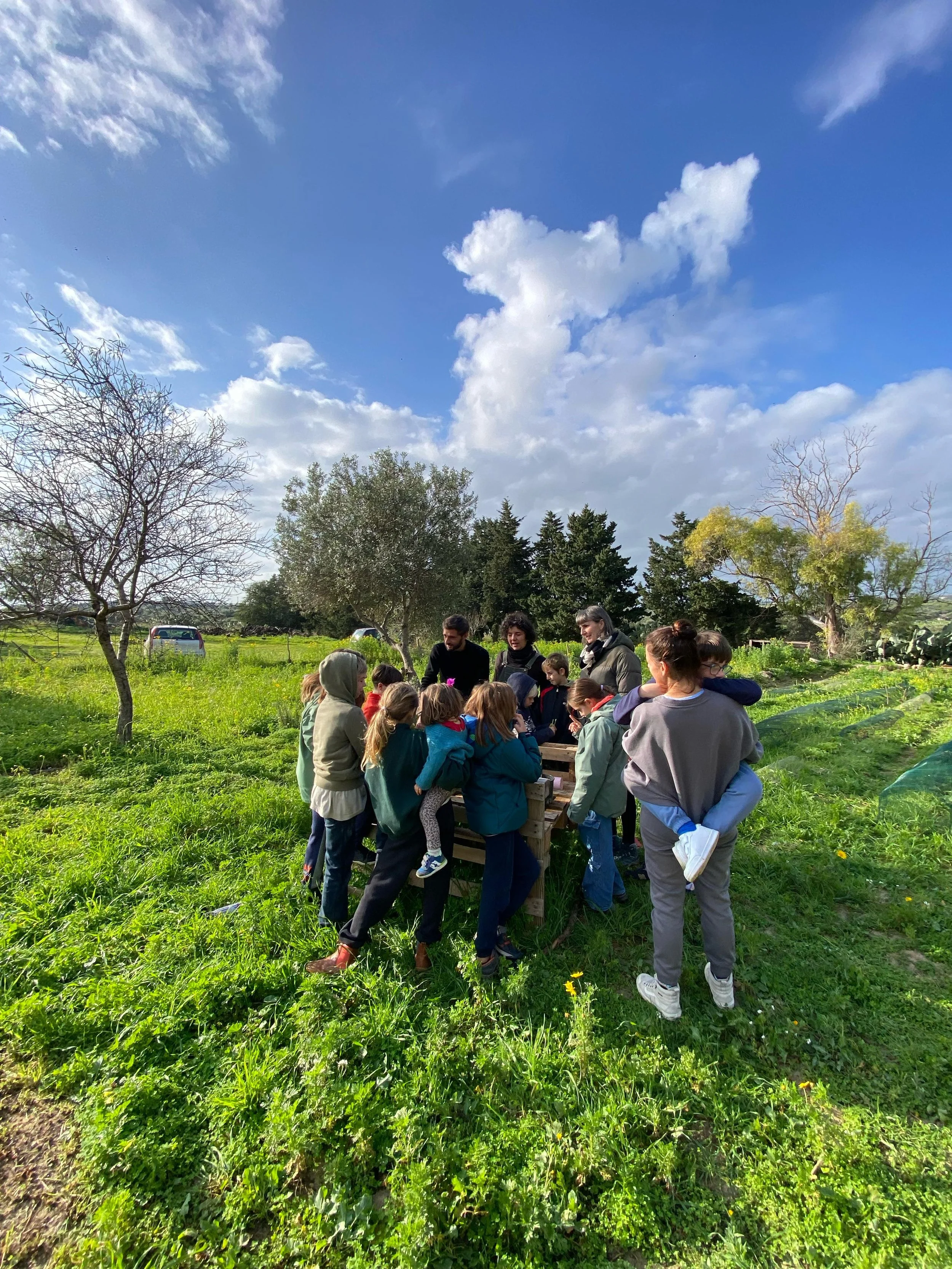 A group of children and adults gathered outdoors on a sunny day, looking at a small wooden structure or table in a grassy area with trees and blue sky with clouds in the background.