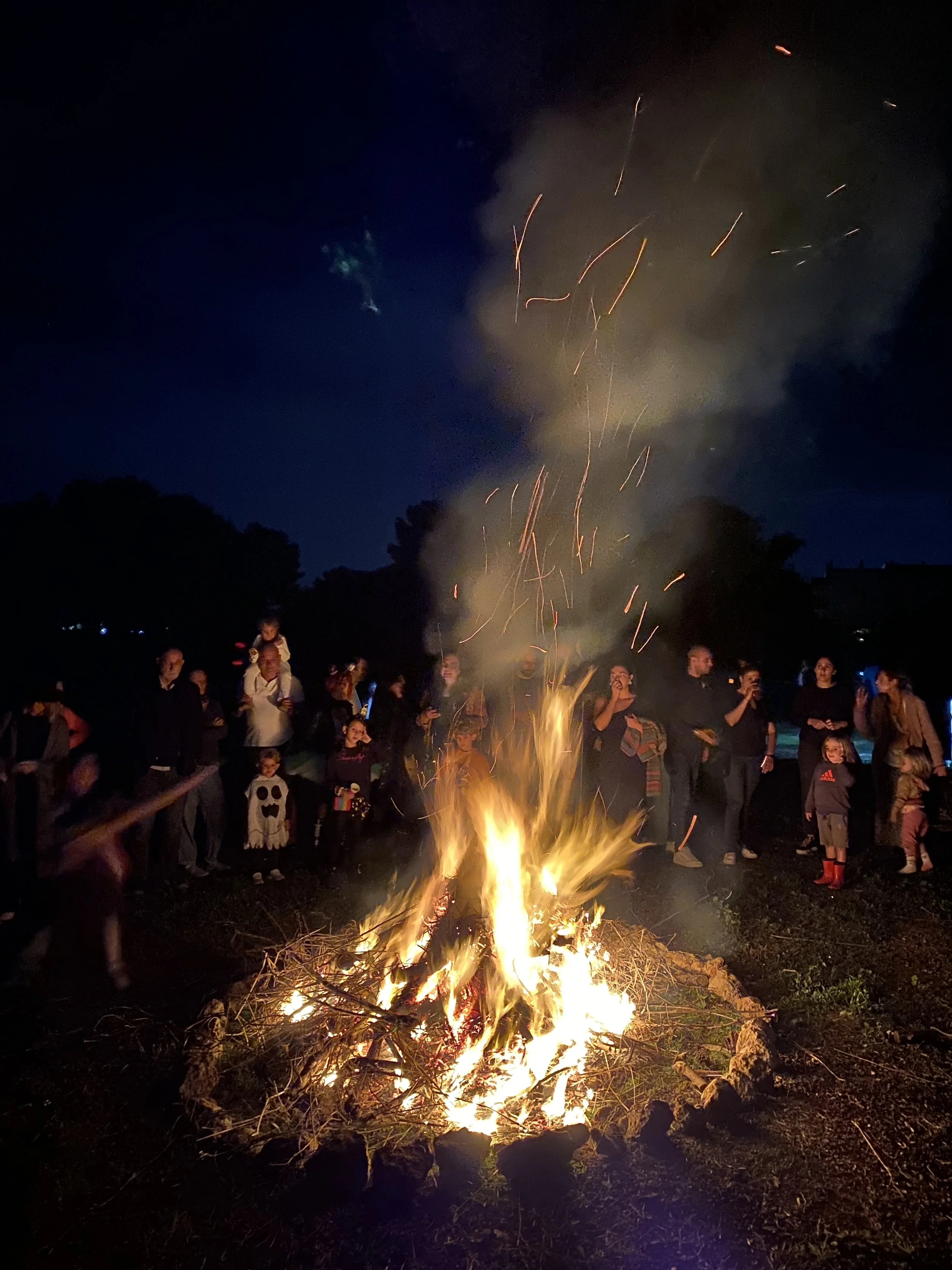 A group of people gather around a bonfire at night, some taking photos, with dark trees and a clear night sky in the background.