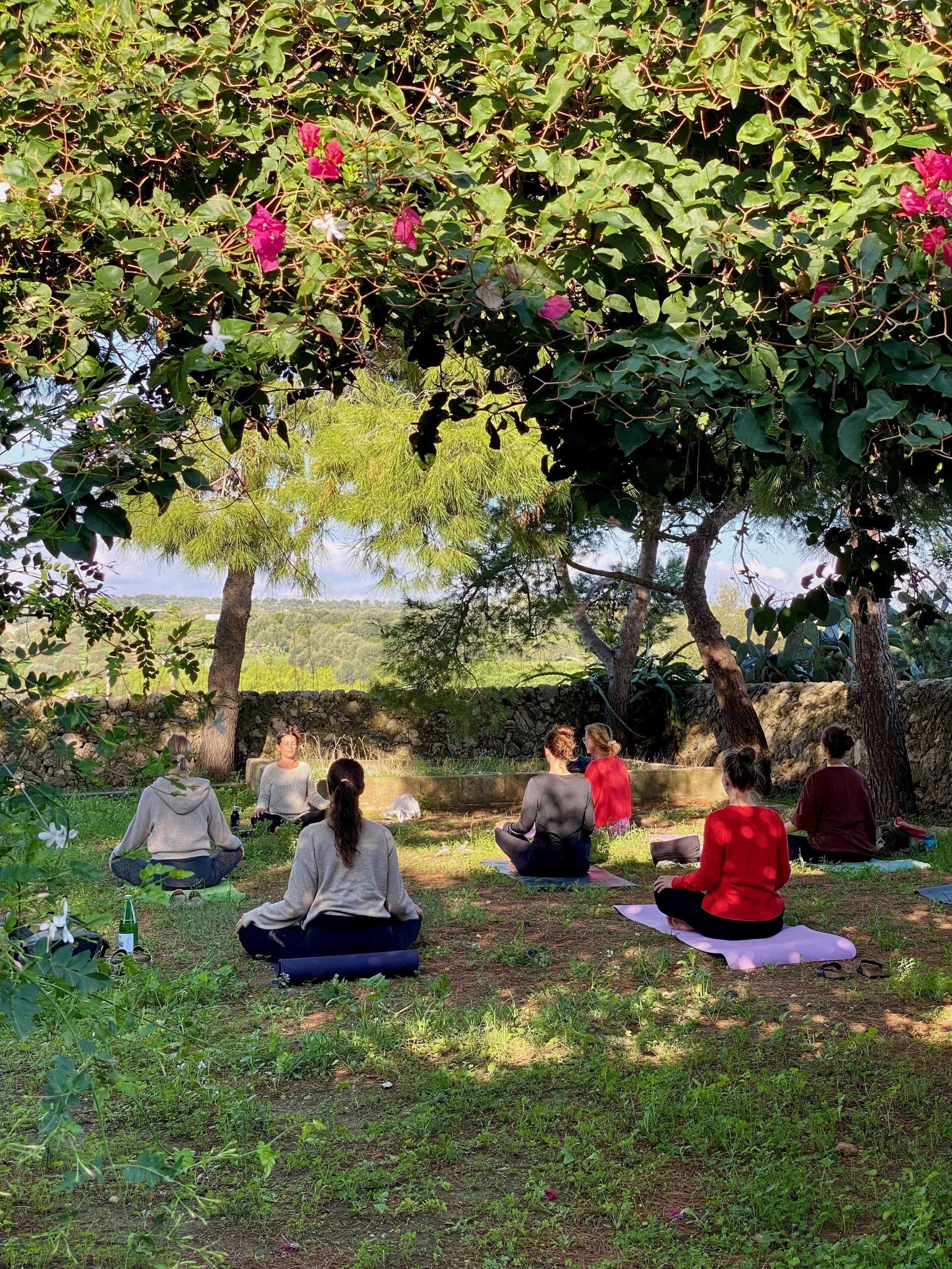 A group of people practicing yoga outdoors under trees, seated on yoga mats with a scenic view of hills and trees in the background.
