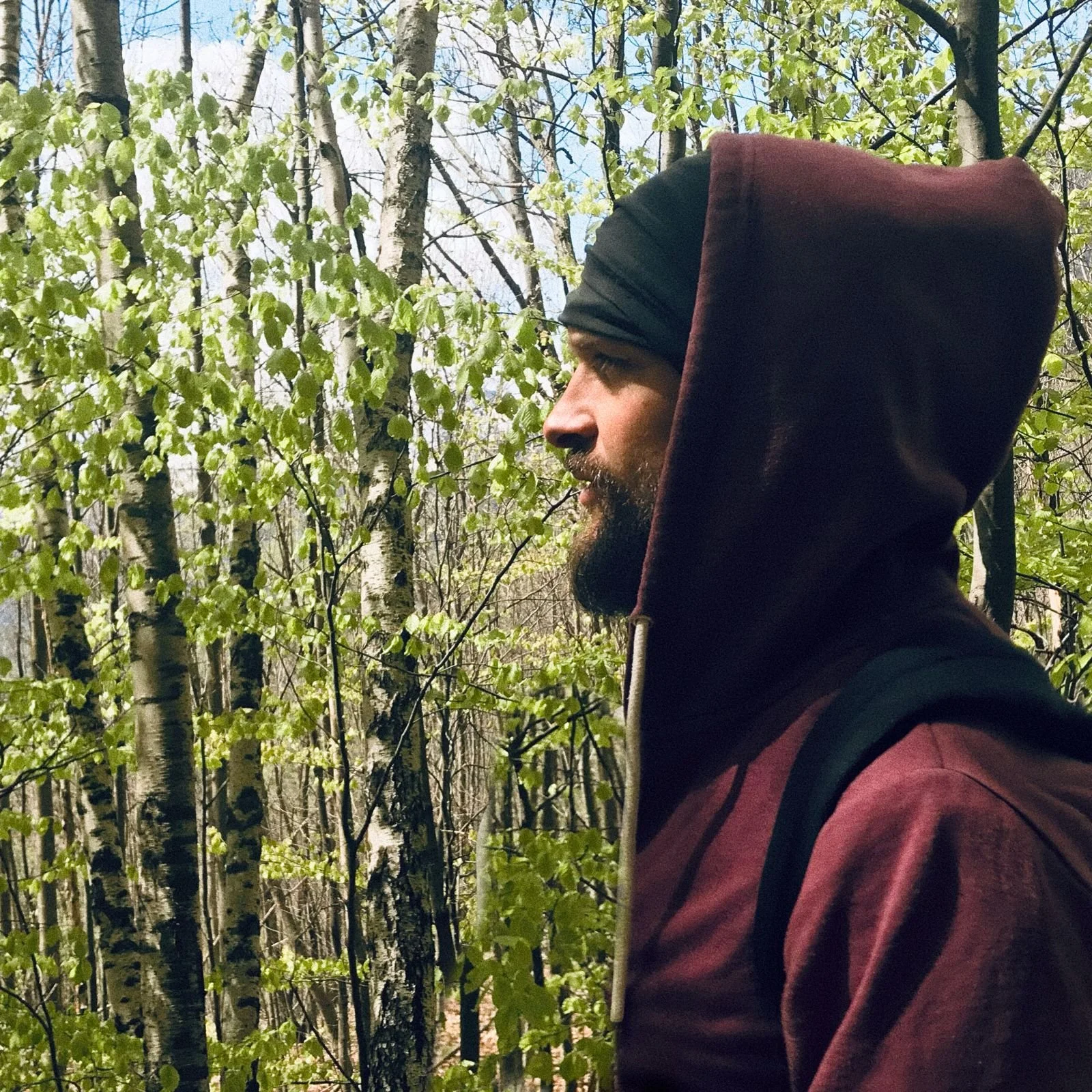 A man with a beard and mustache wearing a black head covering and maroon hoodie, standing amidst tall trees with green leaves in a forest.
