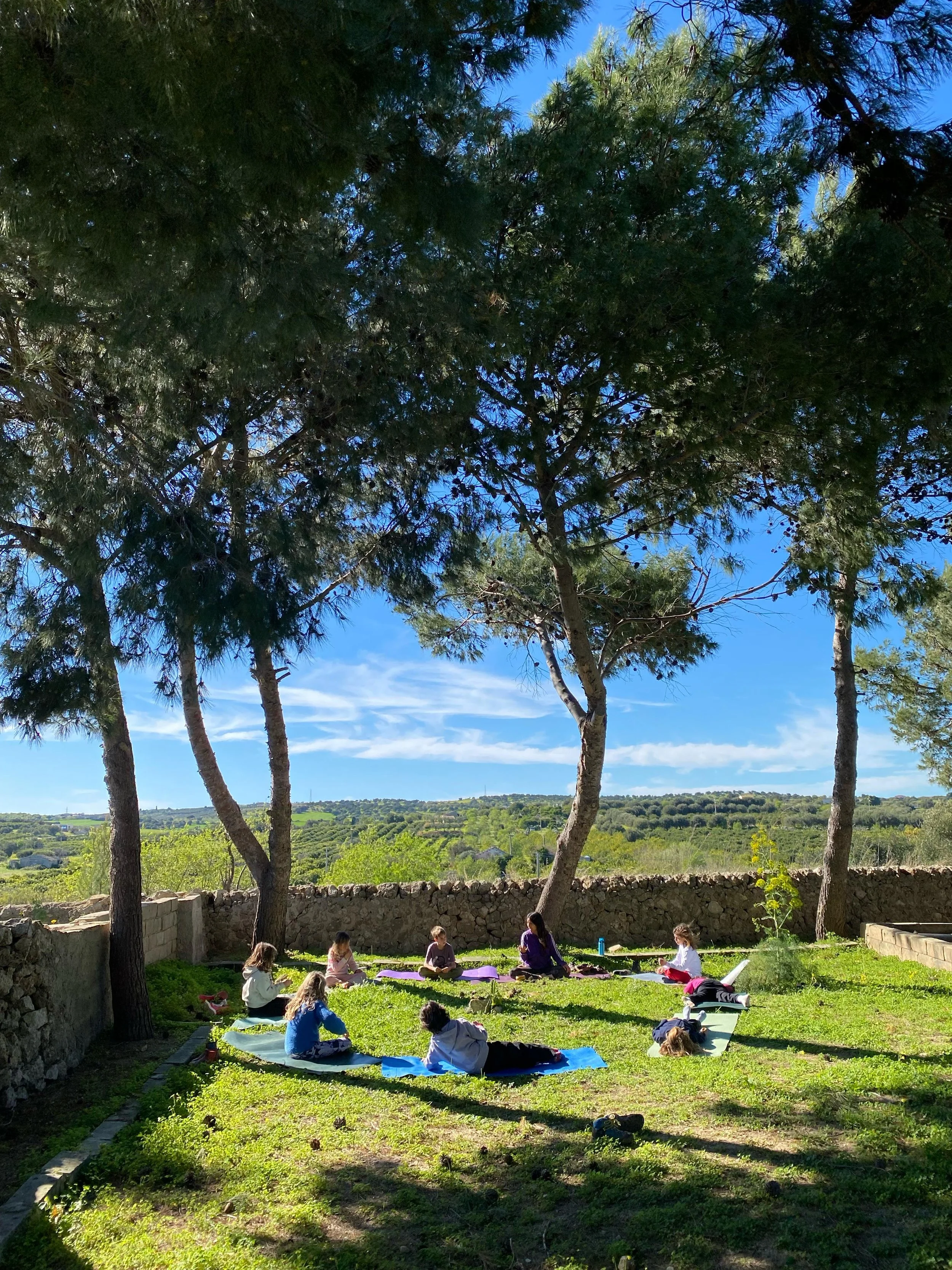 People practicing yoga outdoors on mats in a shaded grassy area under large trees on a sunny day.
