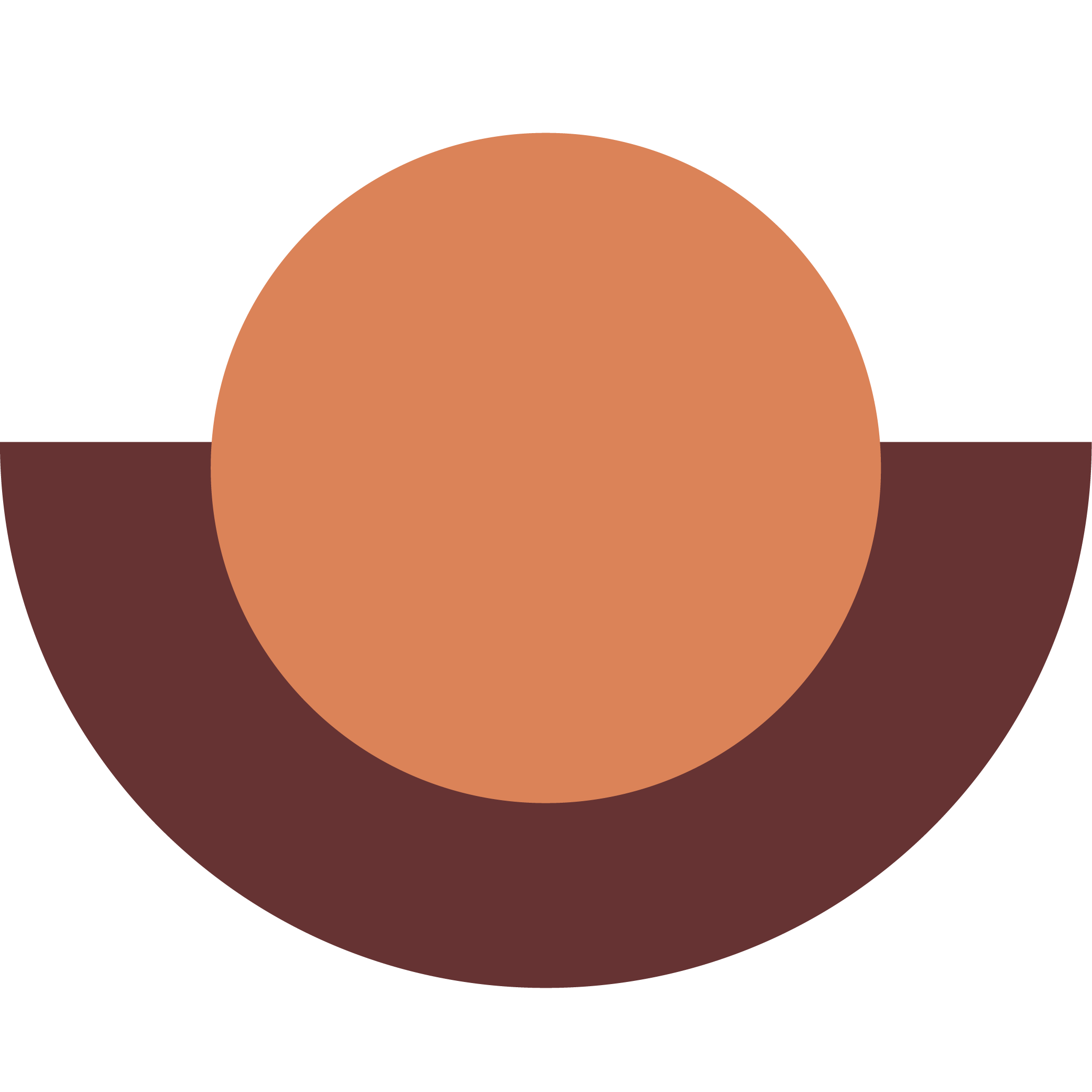 Un graphique en forme de cercle avec des segments de différentes couleurs, représentant des données ou des proportions.