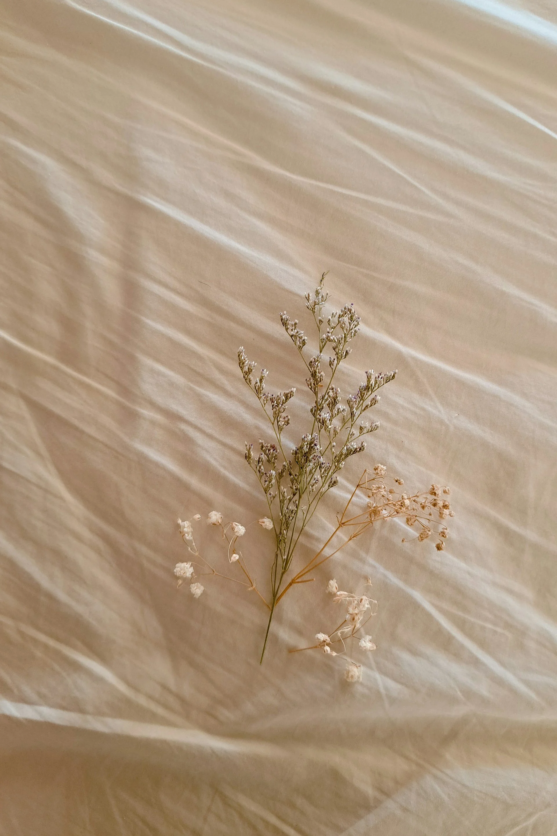 rameau de petites fleurs séchées blanches et violettes posé sur une surface en bois clair.