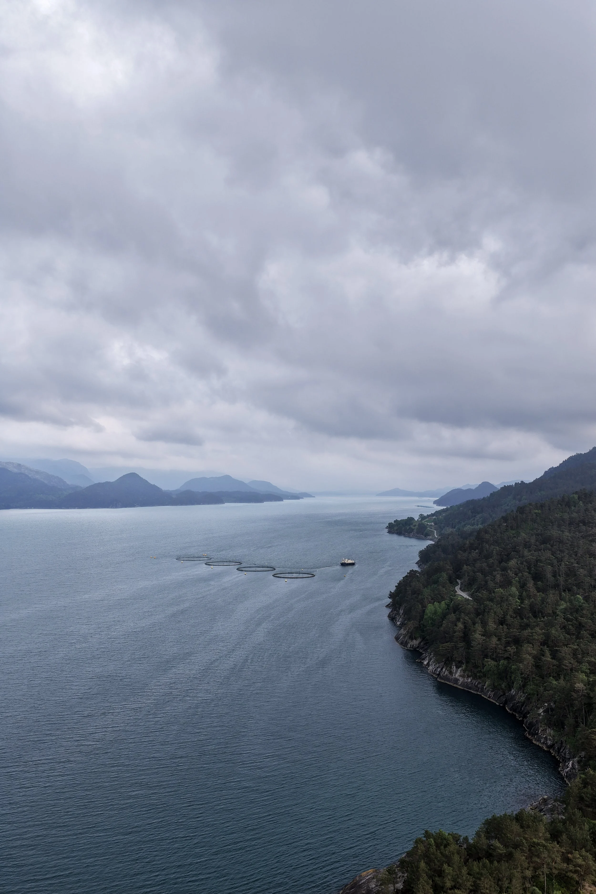 dji_fly_20260607_211624_0009_1780868728517_photo.jpg
