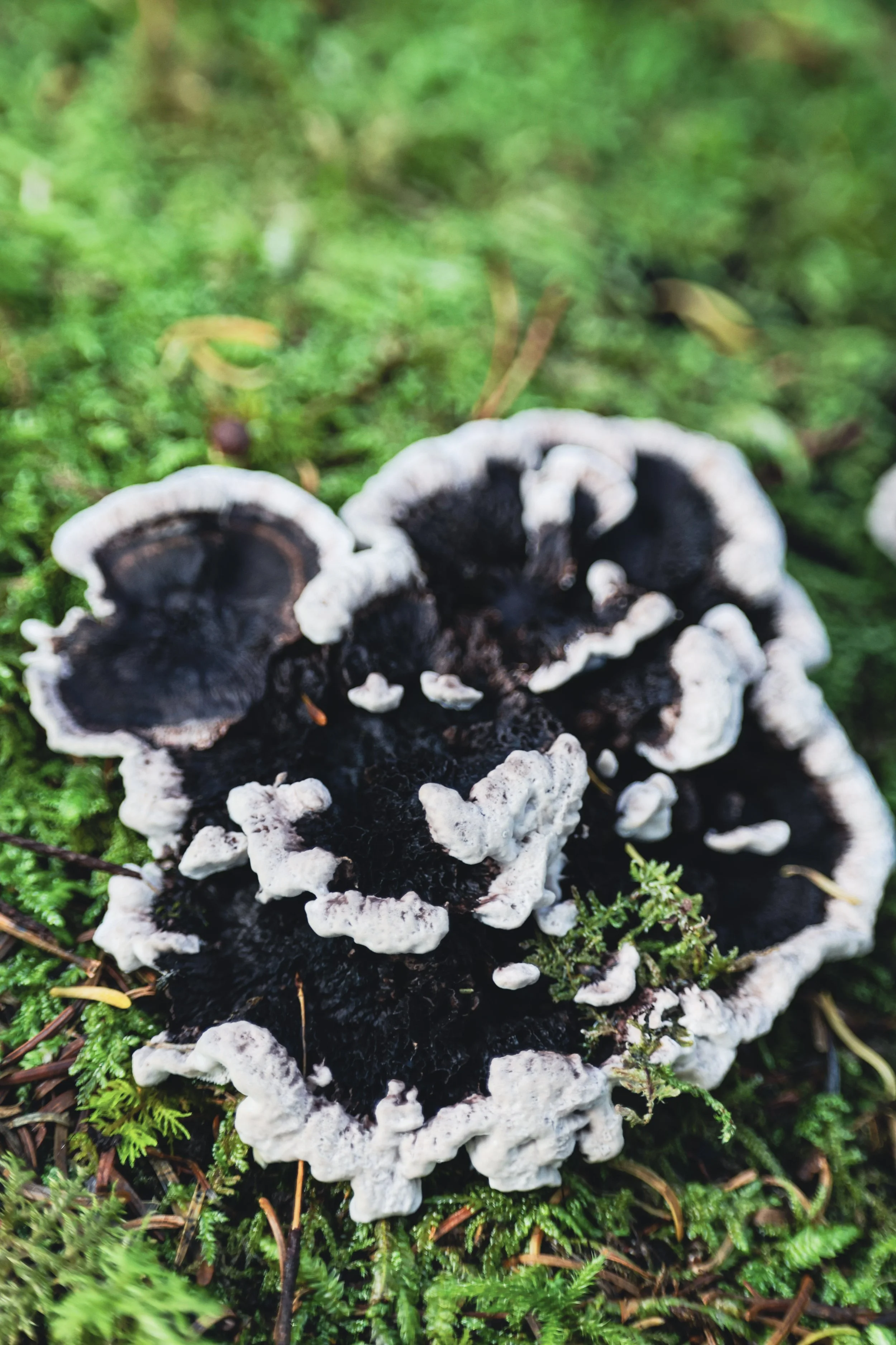 26-5R2B0343.jpg