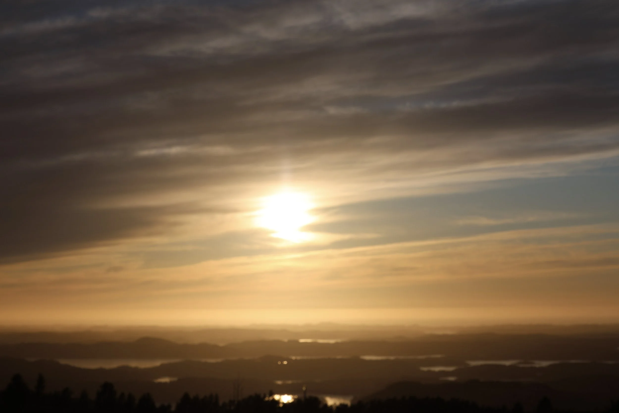 2-5R2B4499.jpg
