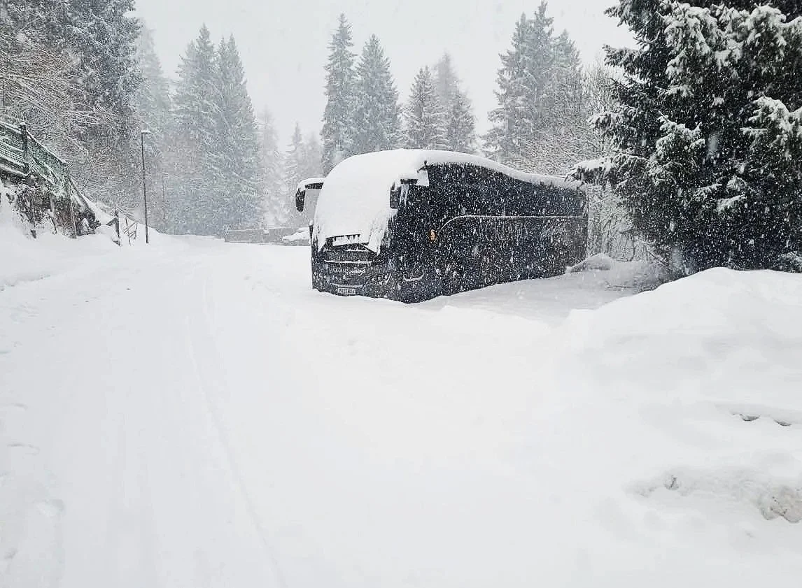 A snow-covered bus parked among snow and trees during a heavy snowfall in a forested area.
