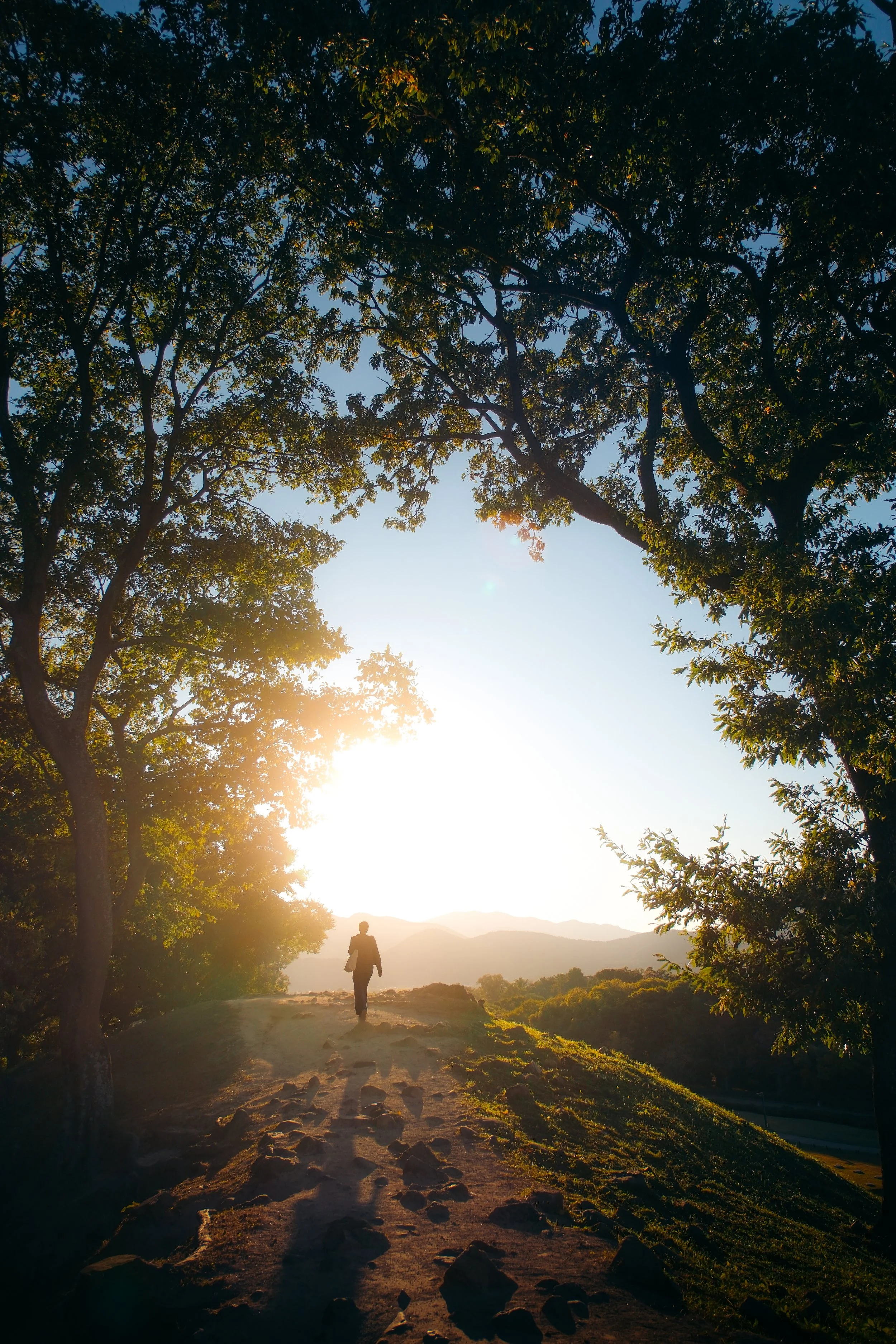 A person walking on a dirt trail surrounded by trees during sunset with mountains in the background.