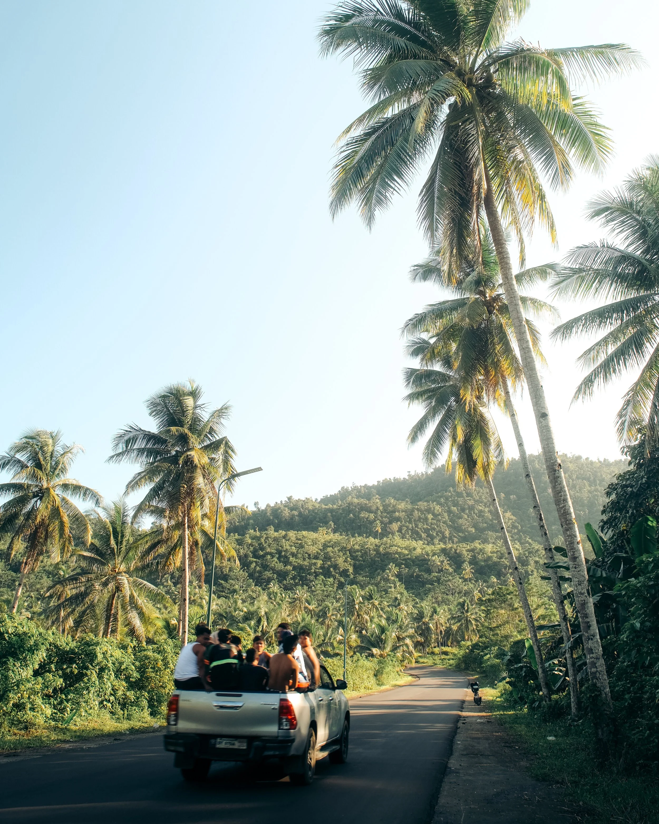 A group of young men riding in the back of a pickup truck on a winding road surrounded by tall palm trees and lush greenery, with a mountain in the background under a clear sky.