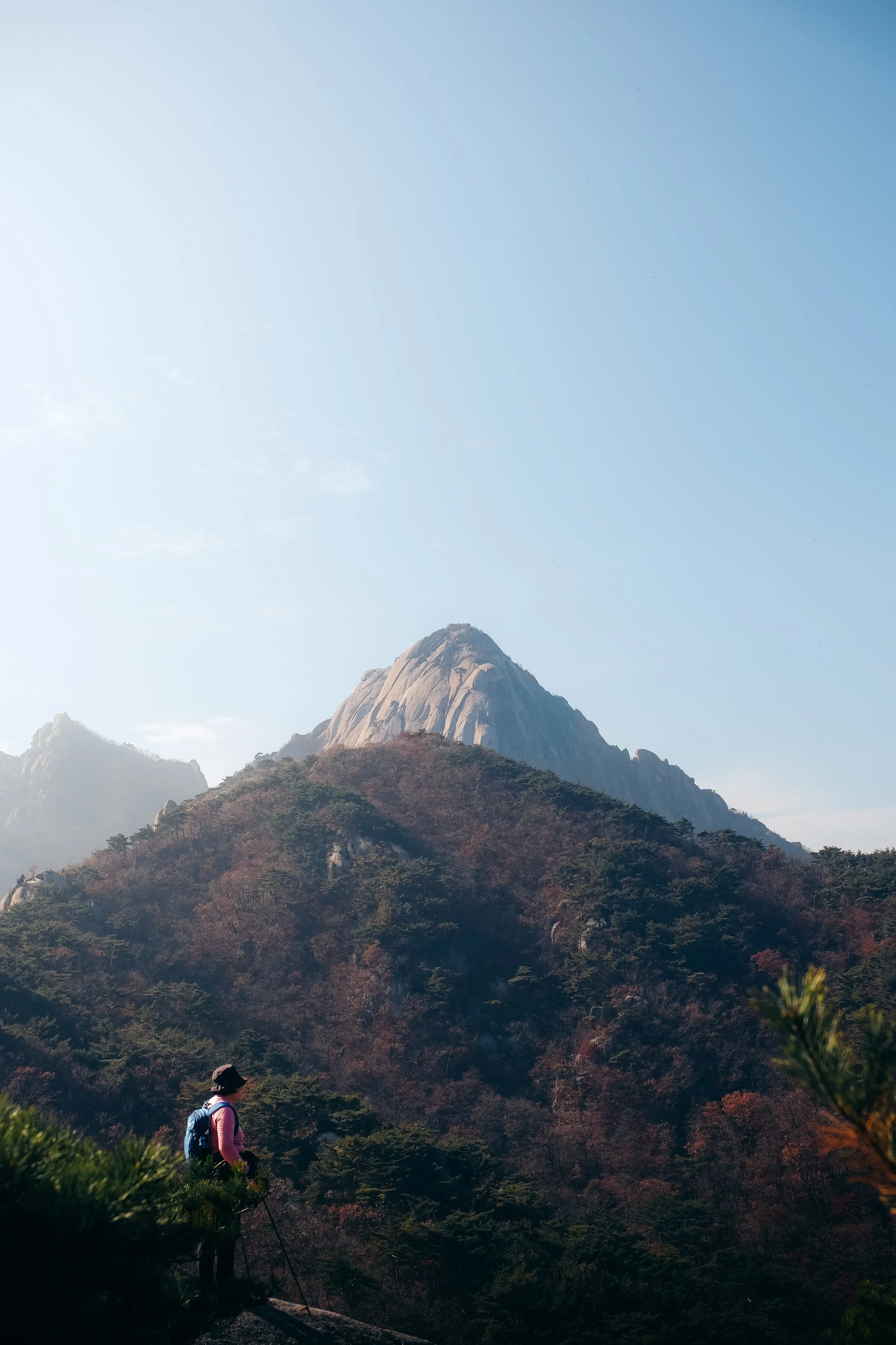 Hiker with backpack and walking stick standing on trail, overlooking a mountain landscape with forested slopes and a large rocky mountain peak under a clear blue sky.