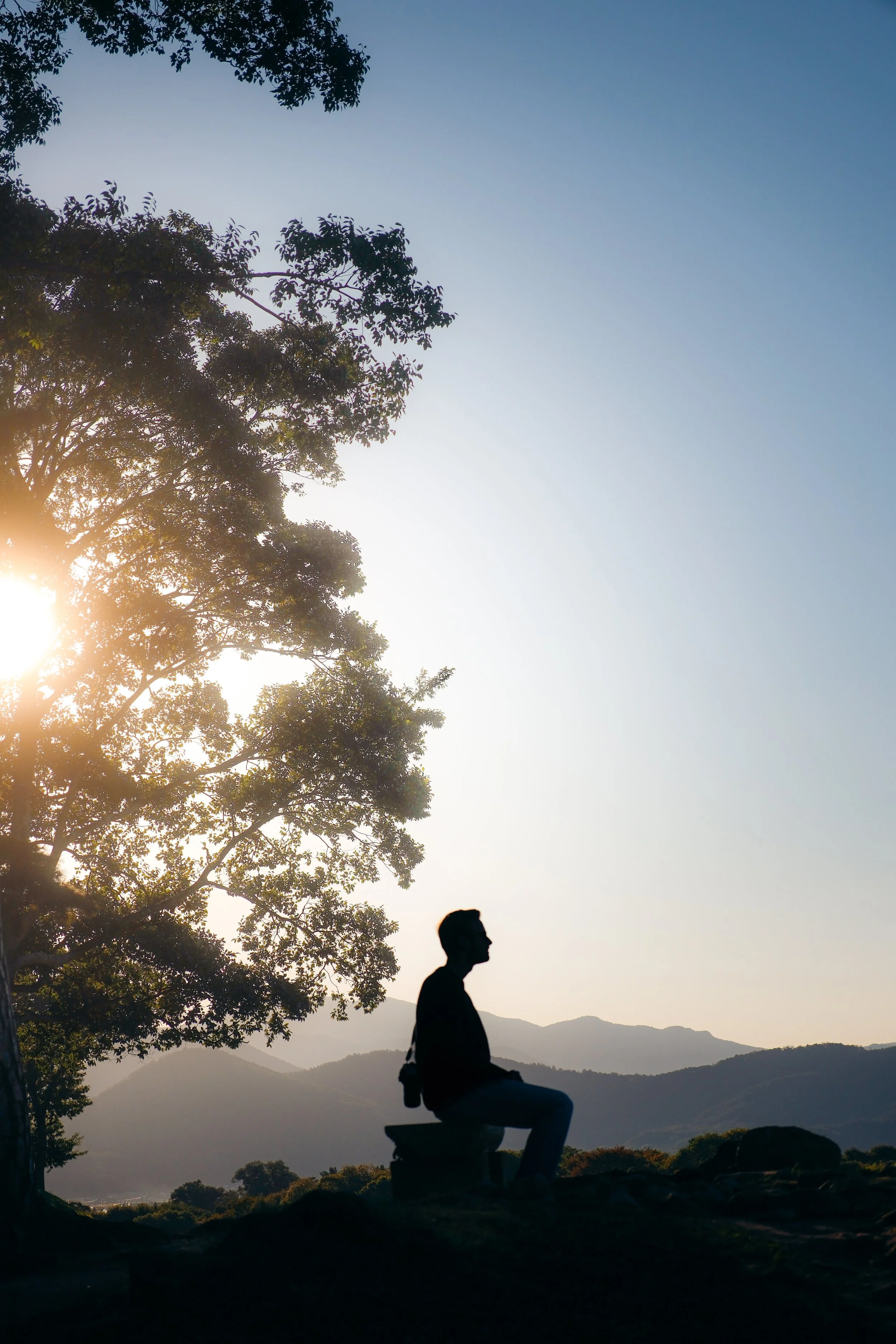 Silhouette of a man sitting on a bench outdoors near a tree during sunset or sunrise, with mountains in the background.