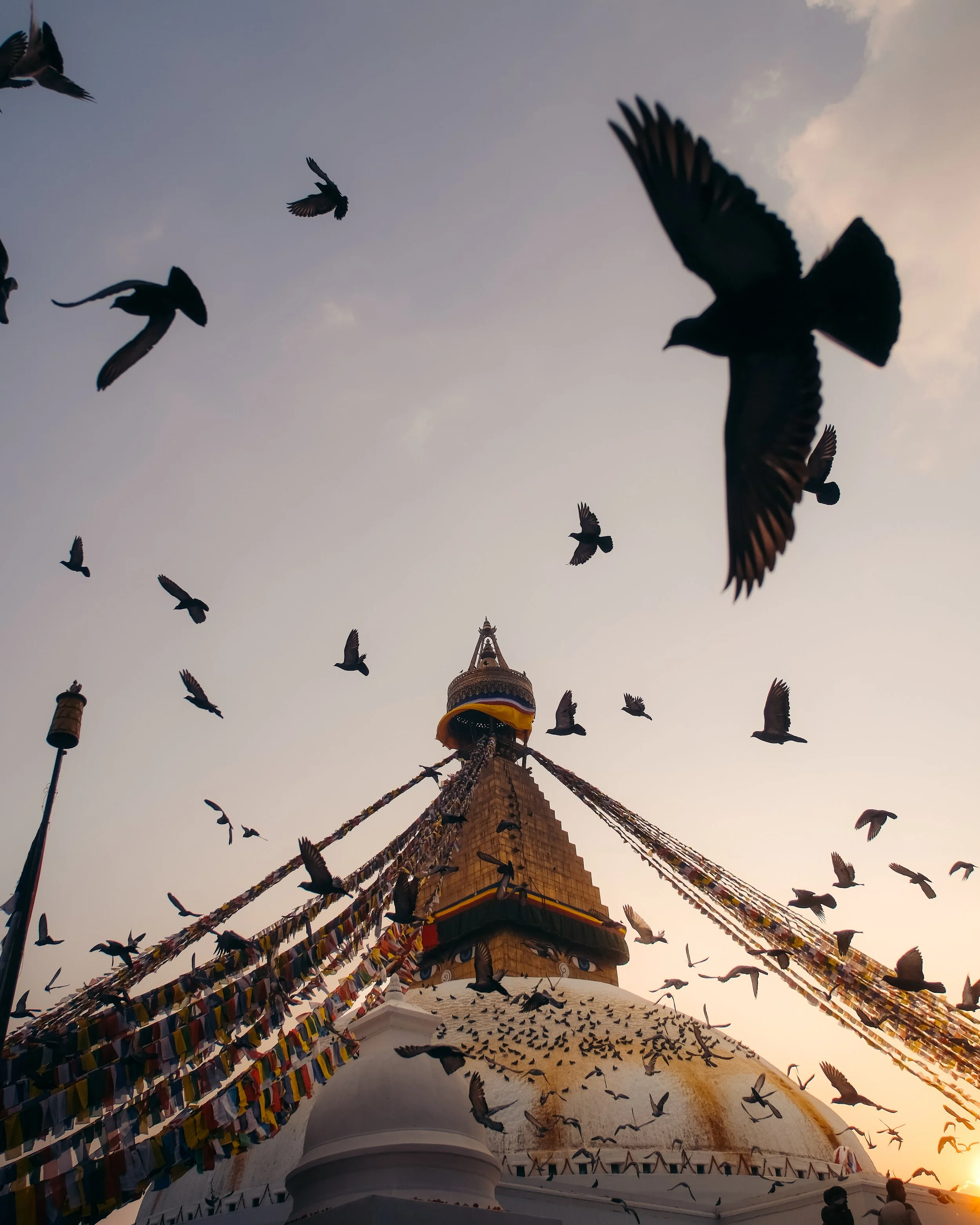 A large stupa surrounded by flying pigeons against a dusky sky.