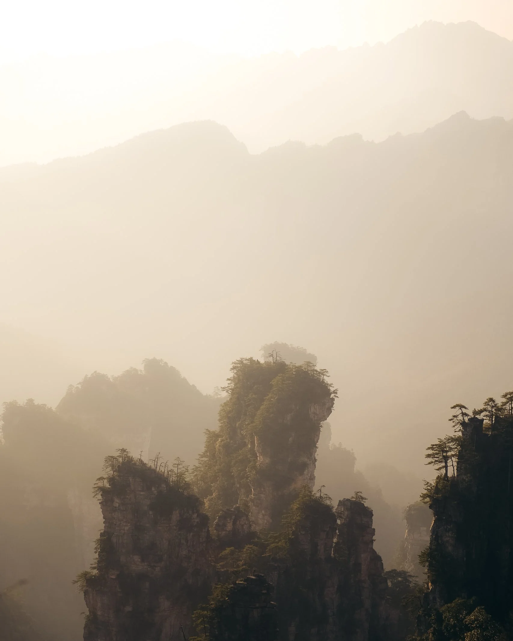 Tall, rocky mountain peaks covered with sparse trees, shrouded in mist or fog.
