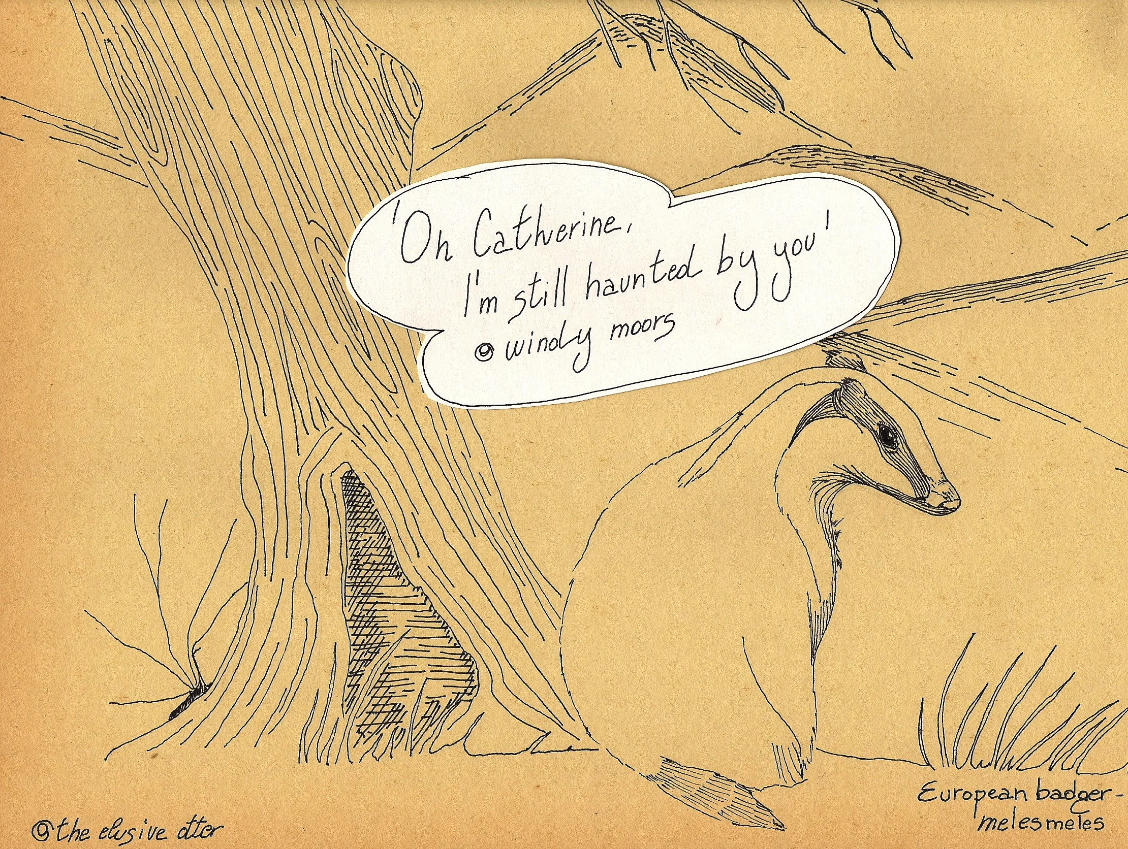 the badger-tasso.jpg