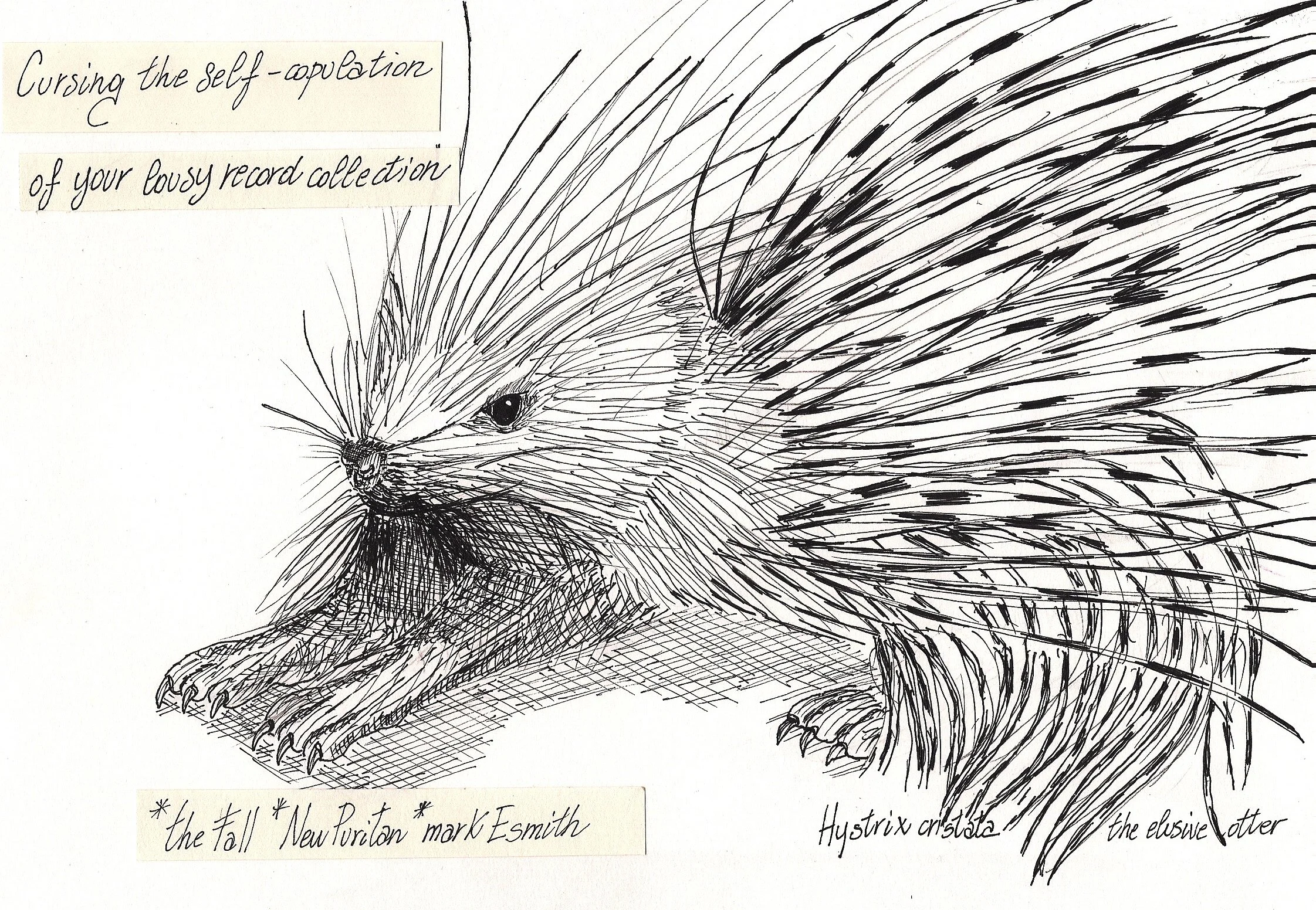 hystrix.jpg