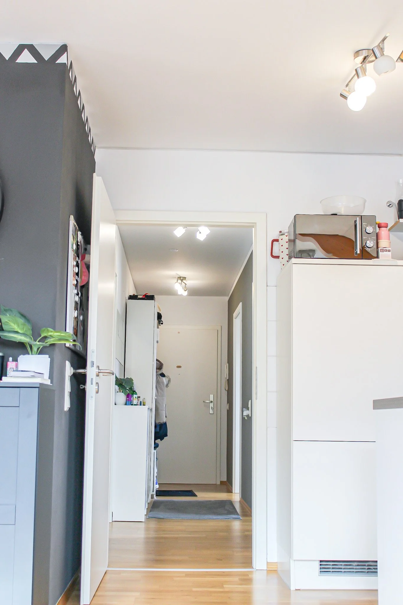 Blick durch eine offene Haustür in einen Flur mit weißen Wänden, Holzboden, einem Spiegel an der linken Wand, einer kleinen Ablage mit Pflanzen und Reinigungsmitteln, einem eingekleisterten Raum mit Kleidung und einem geschlossenen Tür am Ende des Fl