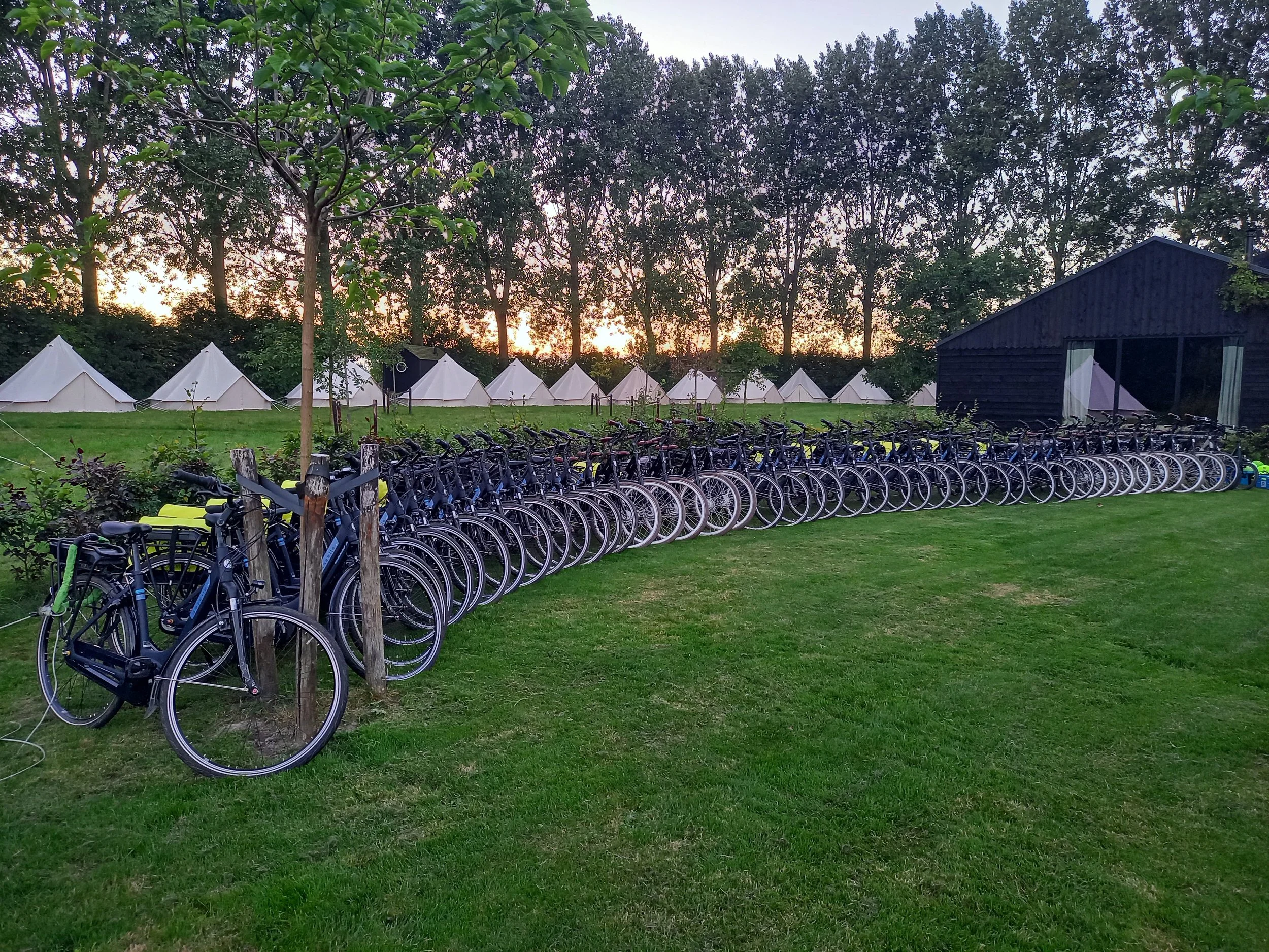 Rij fietsen op een grasveld voor een houten schuur, met tenten op de achtergrond en bomen tegen de schemering.
