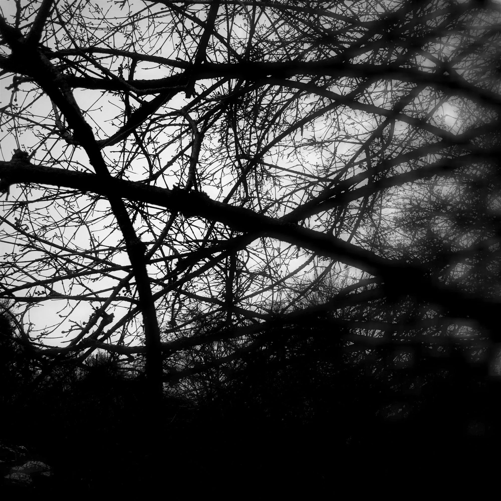  claudia-chianese-photography-terra-12.jpg