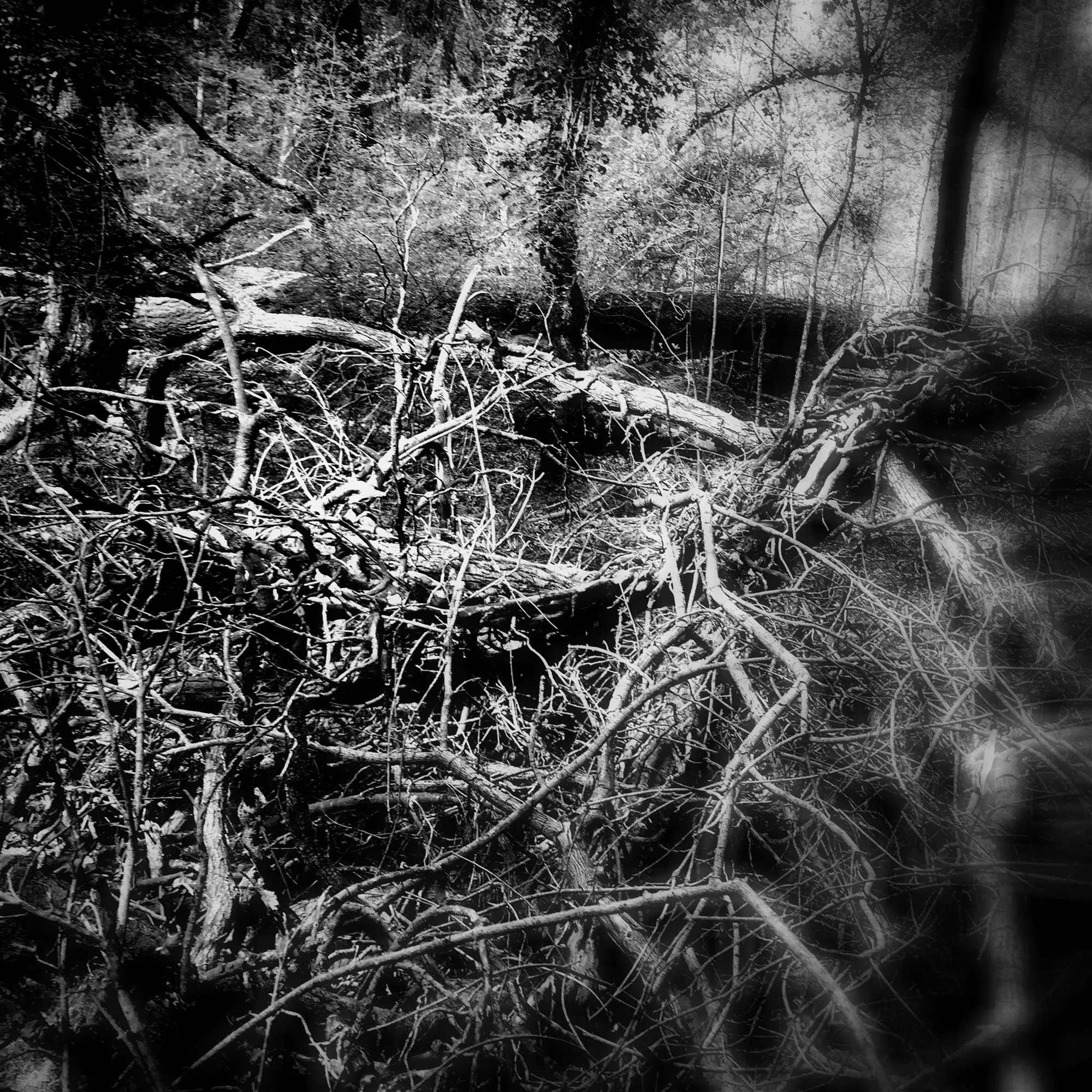  claudia-chianese-photography-terra-21.jpg