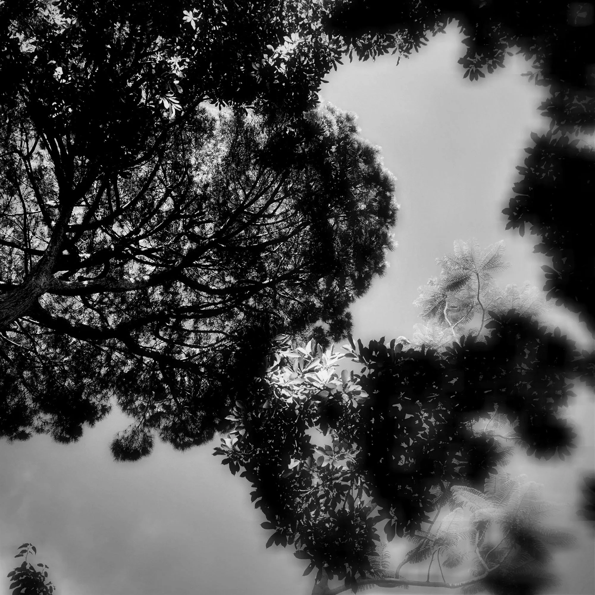  claudia-chianese-photography-terra-20.jpg