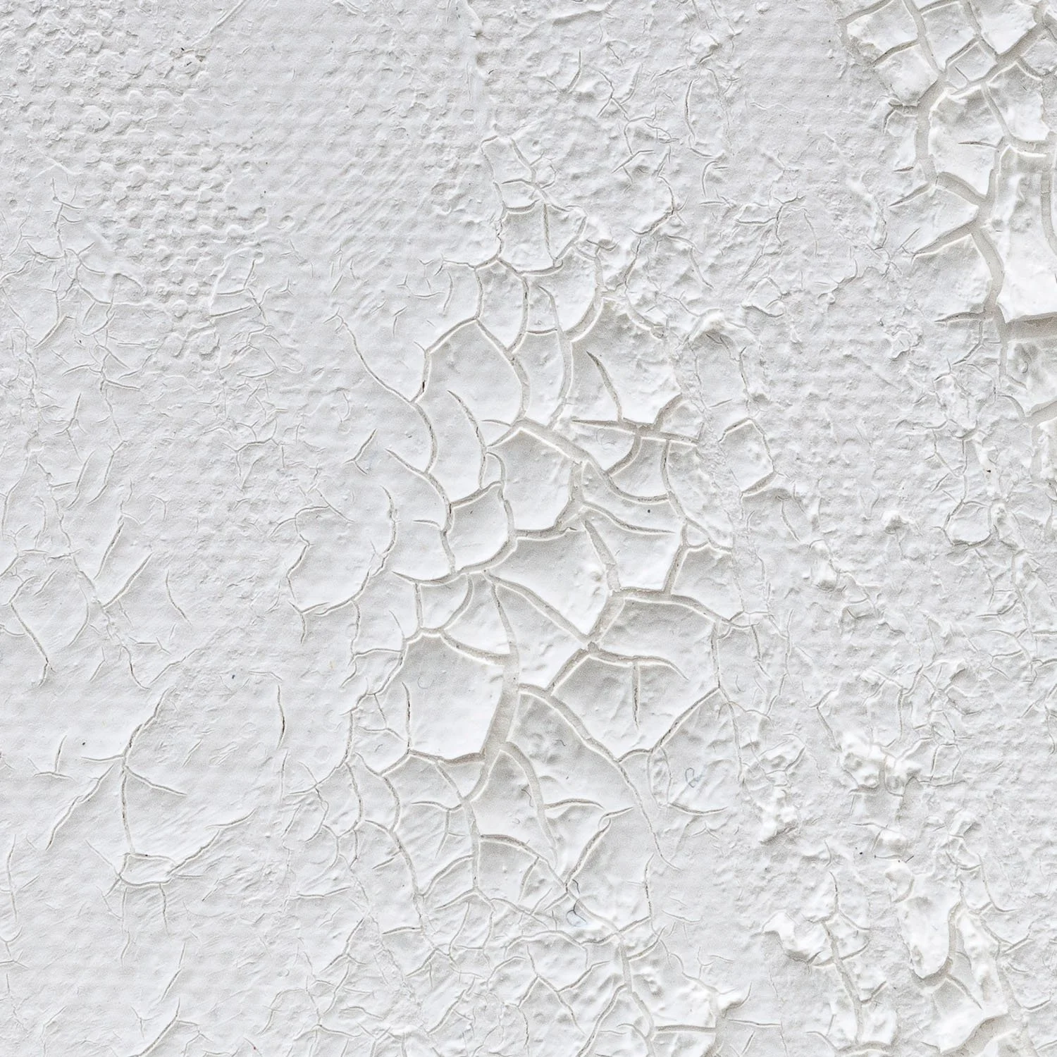 claudia-chianese-painting-vox arborium-v-detail-2.jpg