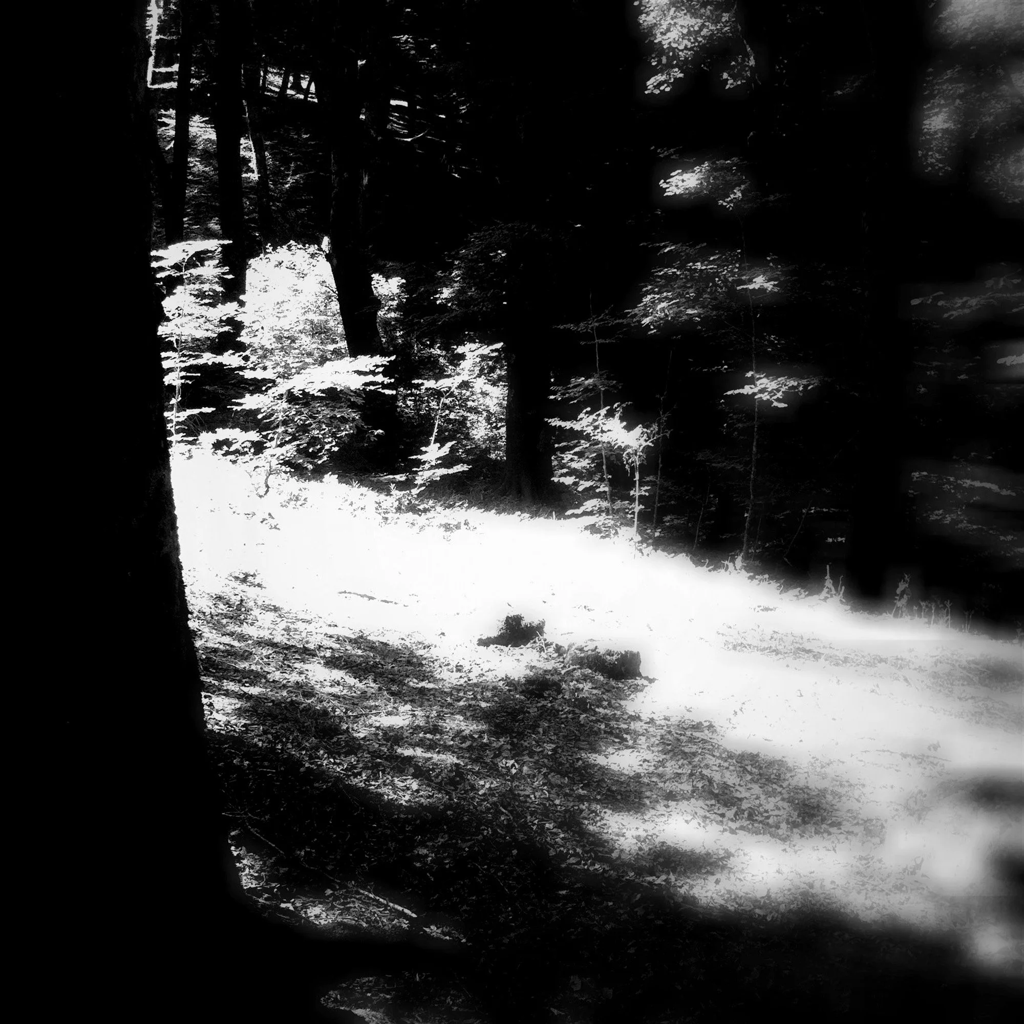  claudia-chianese-photography-terra-14.jpg