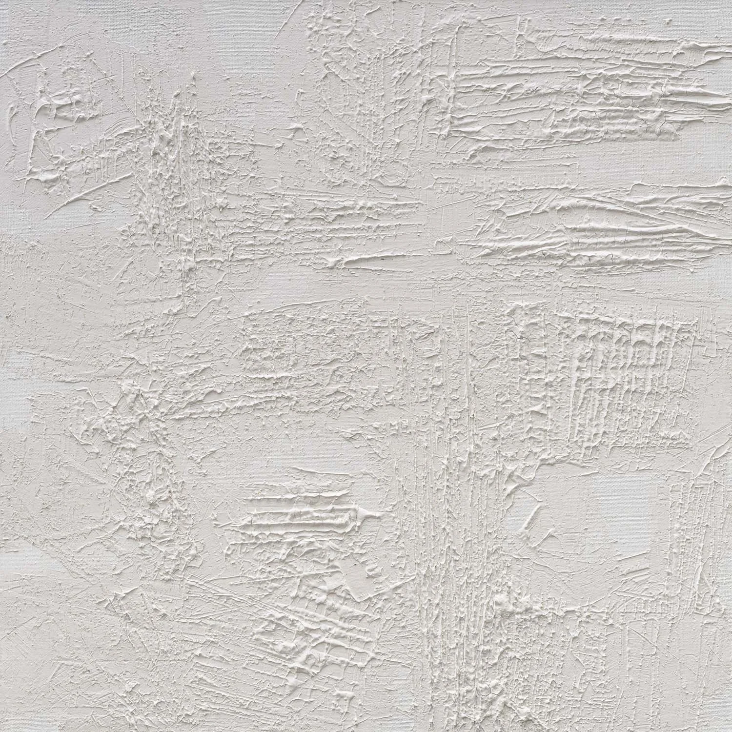 candidum I