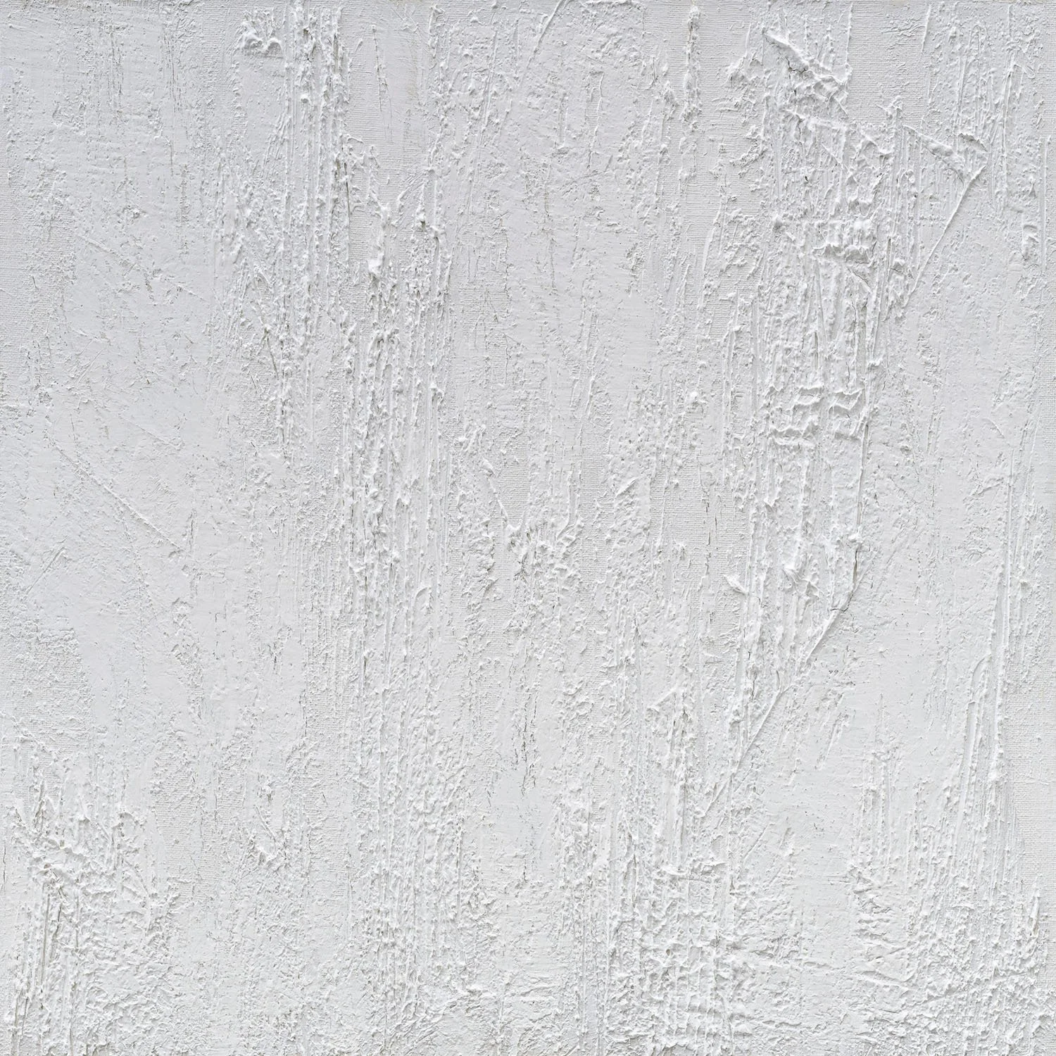 candidum II