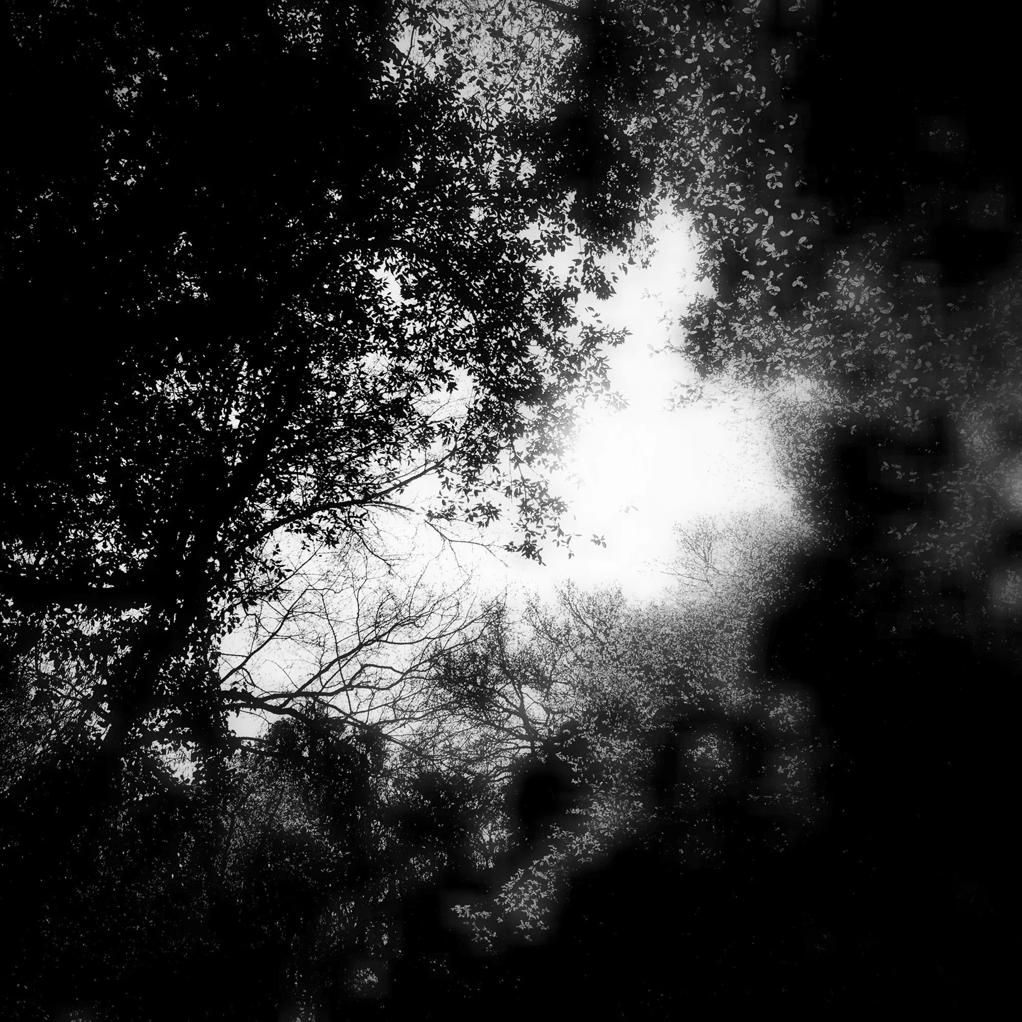  claudia-chianese-photography-terra-1.jpg