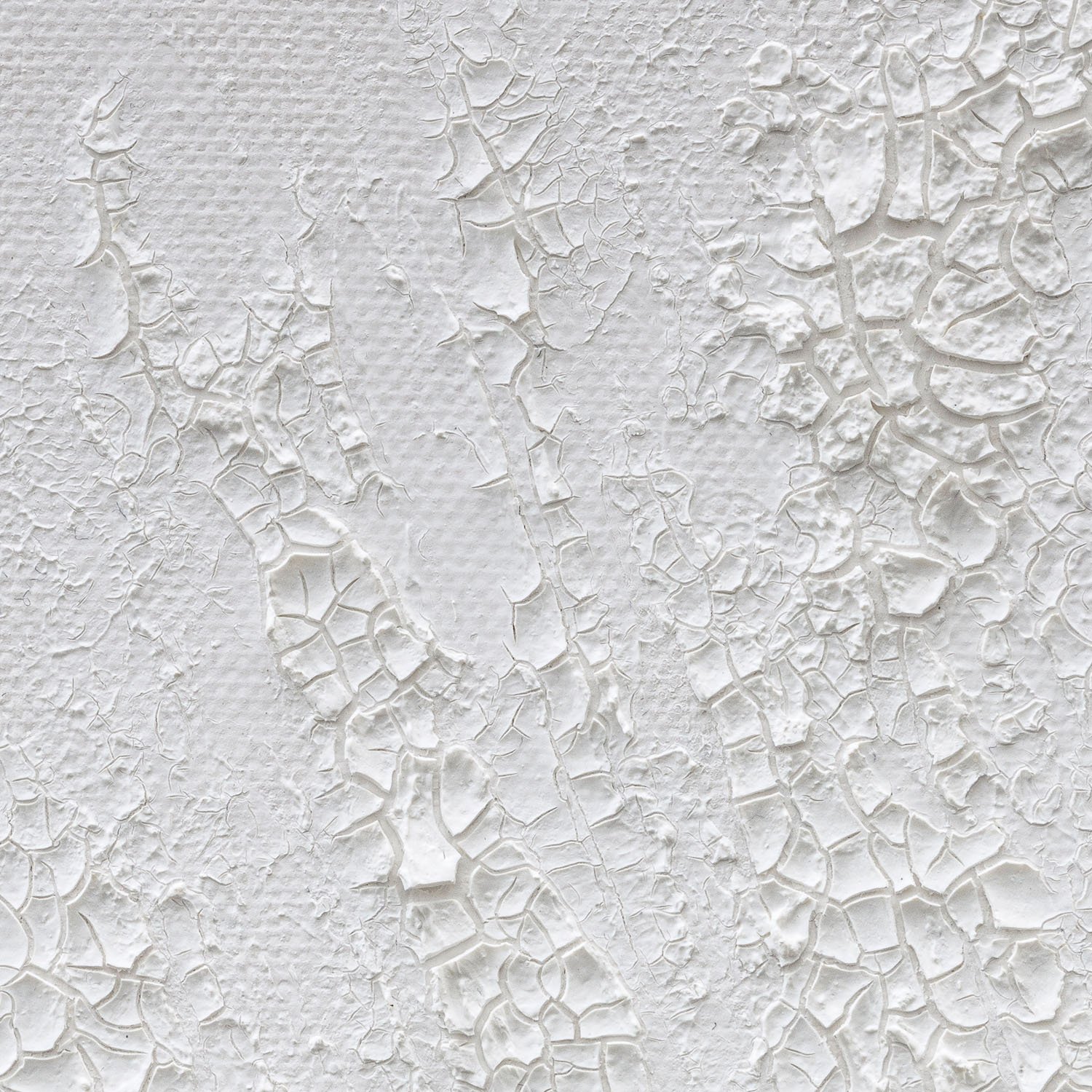 claudia-chianese-painting-vox arborium-v-detail-1.jpg