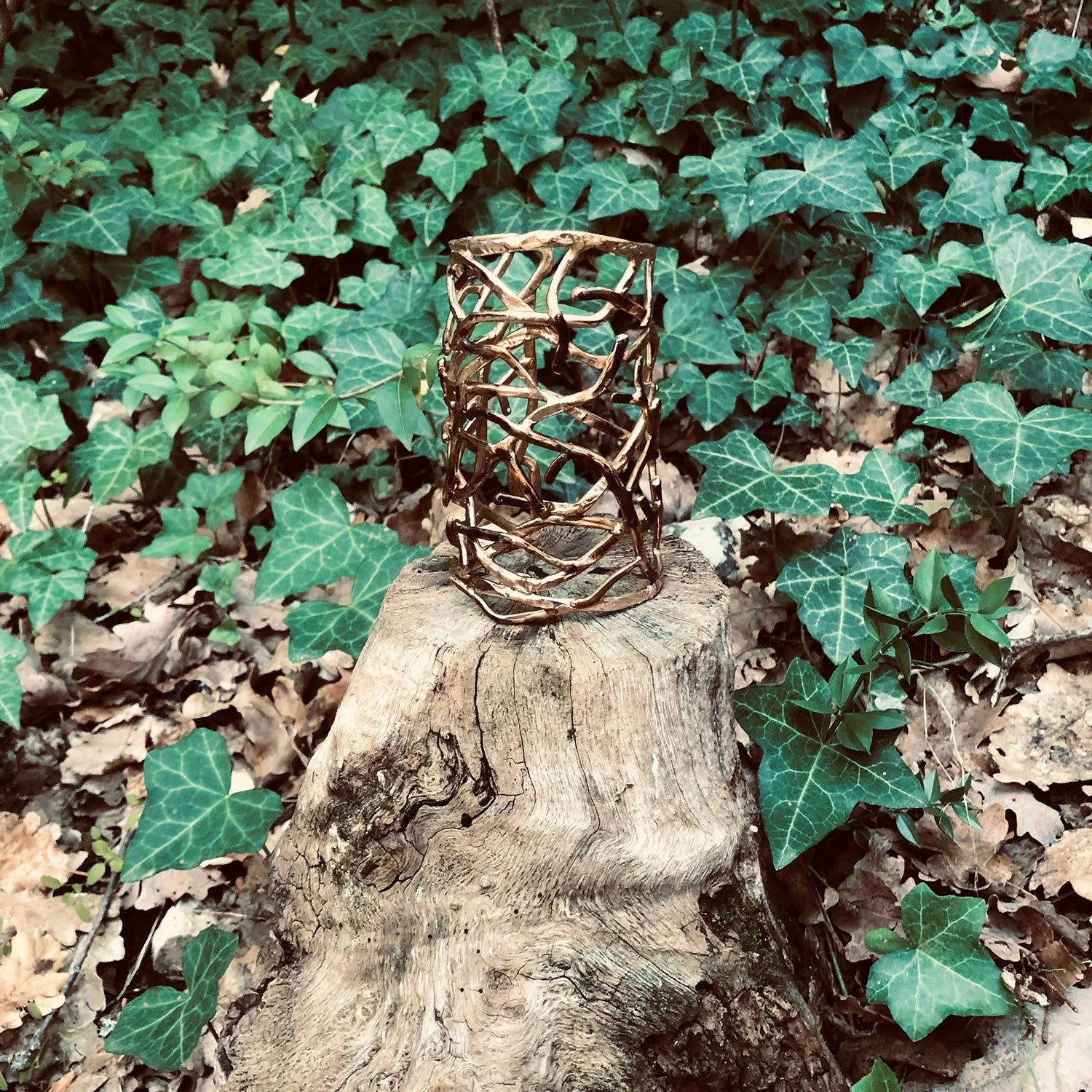 vestiti di bosco