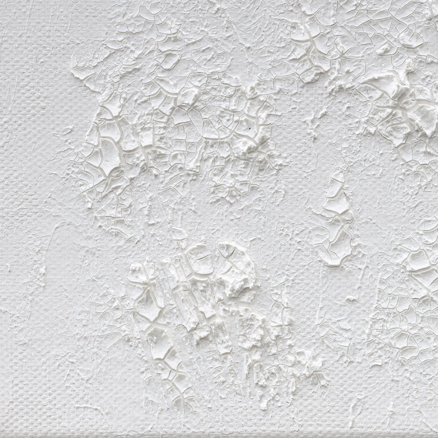 claudia-chianese-painting-vox arborium-iii-detail-2.jpg